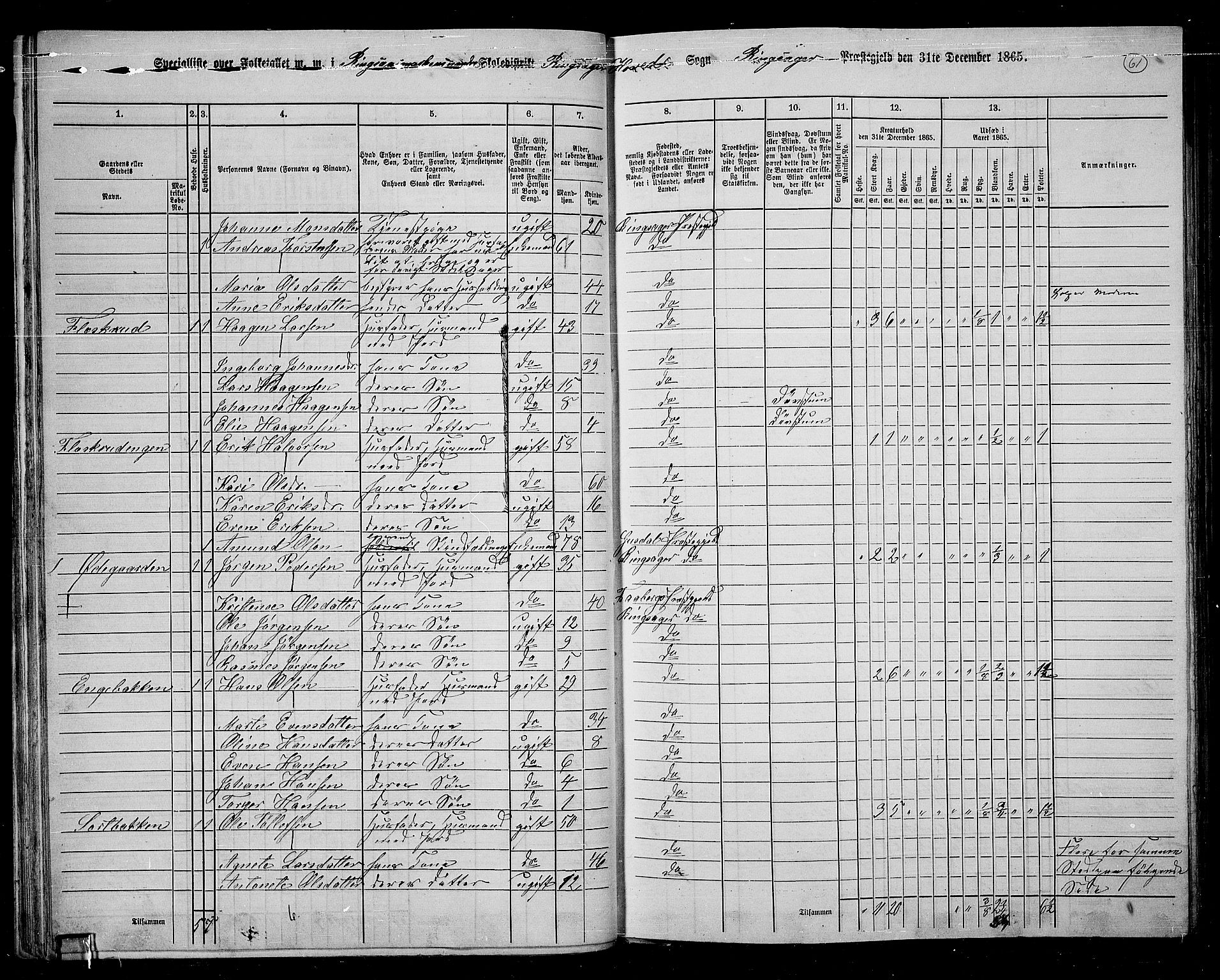 RA, 1865 census for Ringsaker, 1865, p. 313