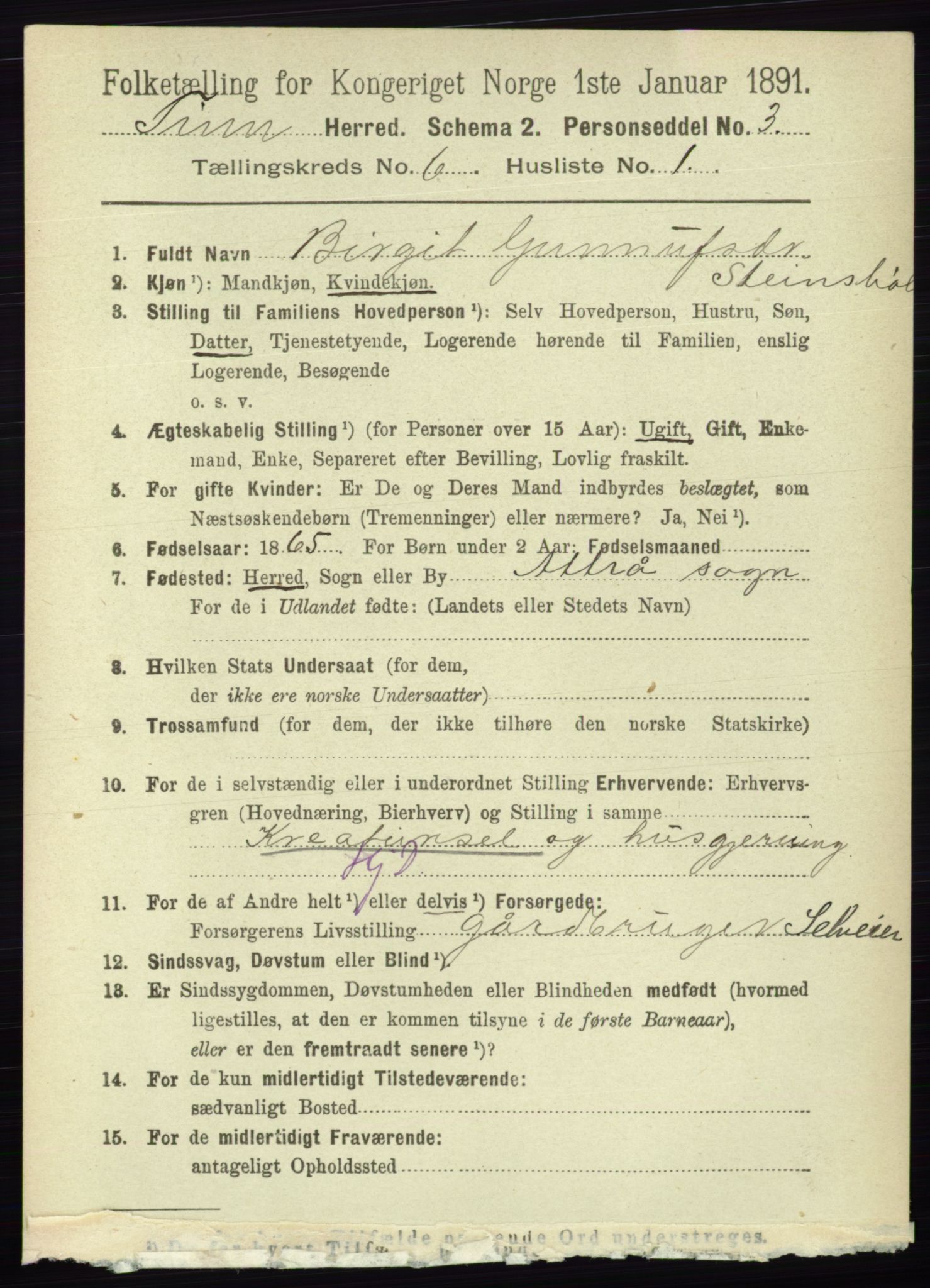 RA, 1891 census for 0826 Tinn, 1891, p. 1194