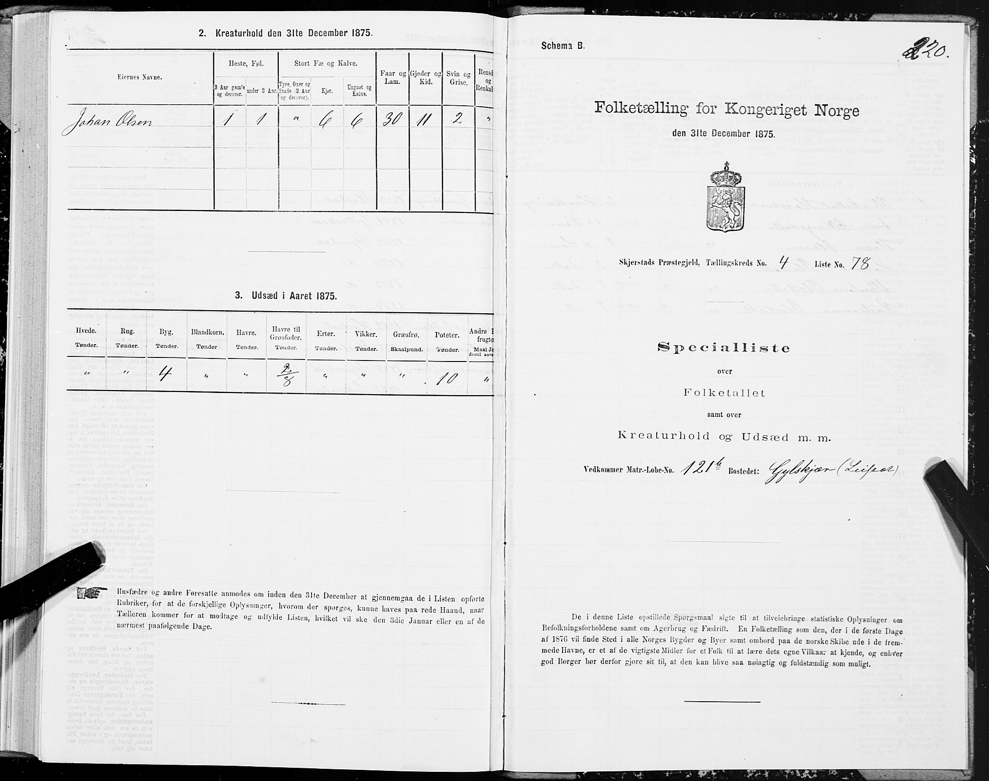 SAT, 1875 census for 1842P Skjerstad, 1875, p. 2220