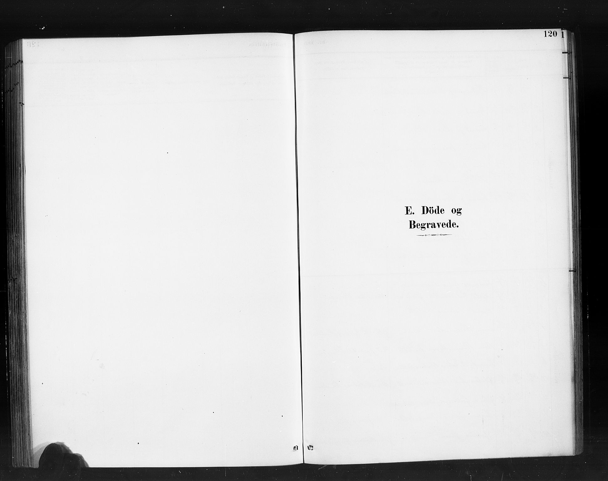 Ministerialprotokoller, klokkerbøker og fødselsregistre - Møre og Romsdal, SAT/A-1454/520/L0283: Parish register (official) no. 520A12, 1882-1898, p. 120