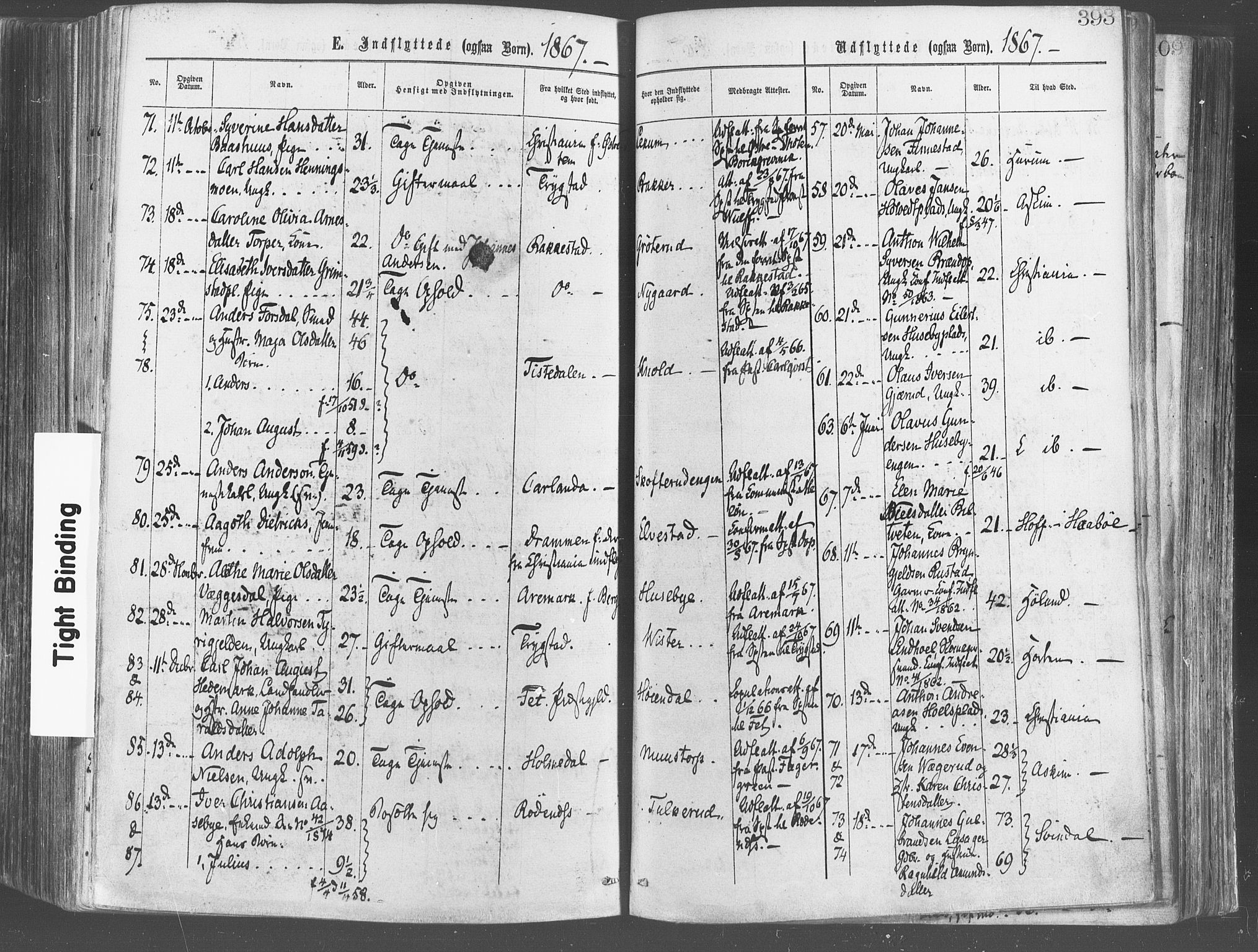 Eidsberg prestekontor Kirkebøker, SAO/A-10905/F/Fa/L0011: Parish register (official) no. I 11, 1867-1878, p. 393