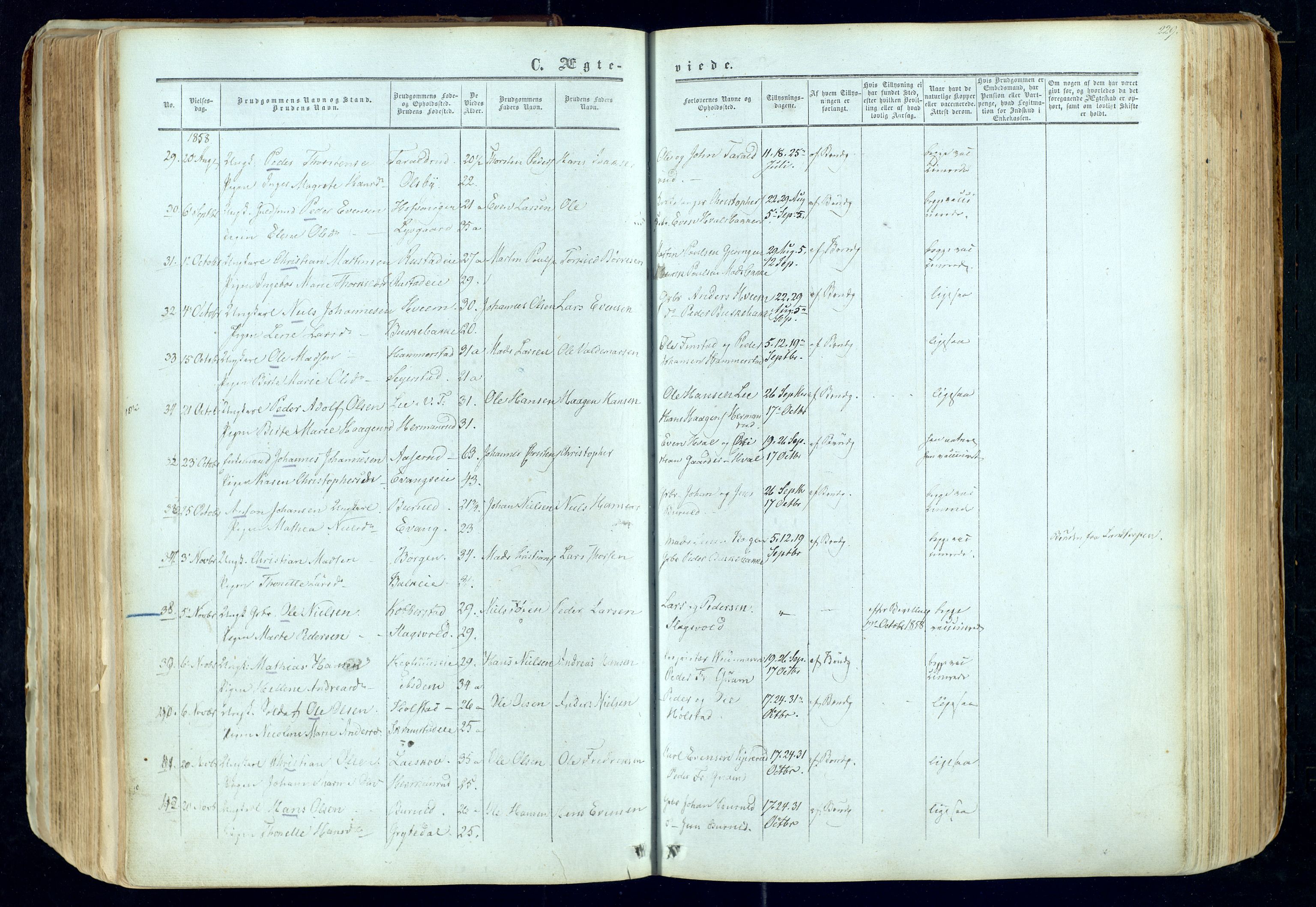 Østre Toten prestekontor, AV/SAH-PREST-104/H/Ha/Haa/L0004: Parish register (official) no. 4, 1857-1865, p. 229