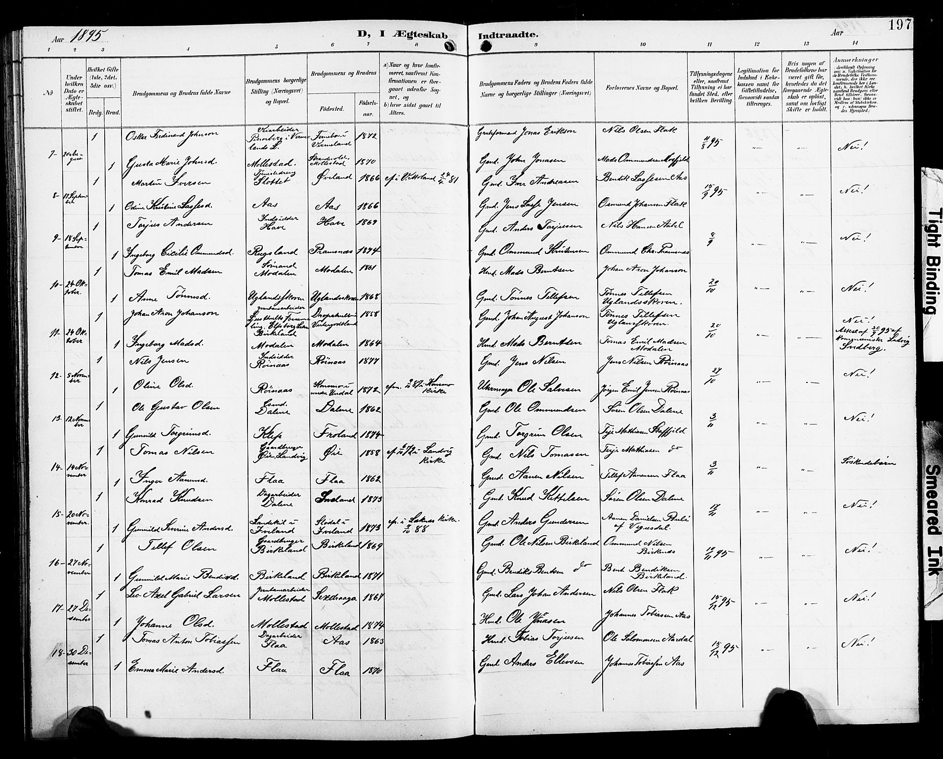 Birkenes sokneprestkontor, SAK/1111-0004/F/Fb/L0004: Parish register (copy) no. B 4, 1893-1930, p. 197