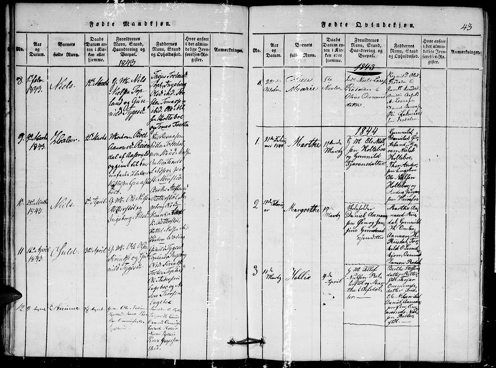 Herefoss sokneprestkontor, AV/SAK-1111-0019/F/Fa/Faa/L0001: Parish register (official) no. A 1, 1816-1860, p. 43