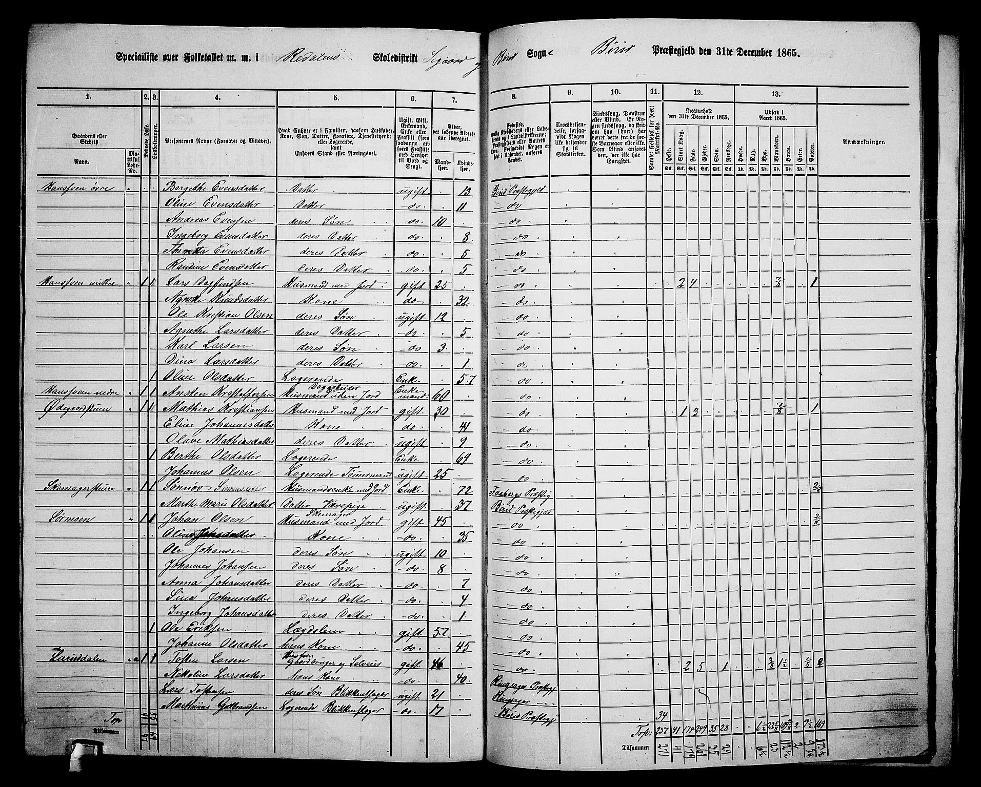 RA, 1865 census for Biri, 1865, p. 206