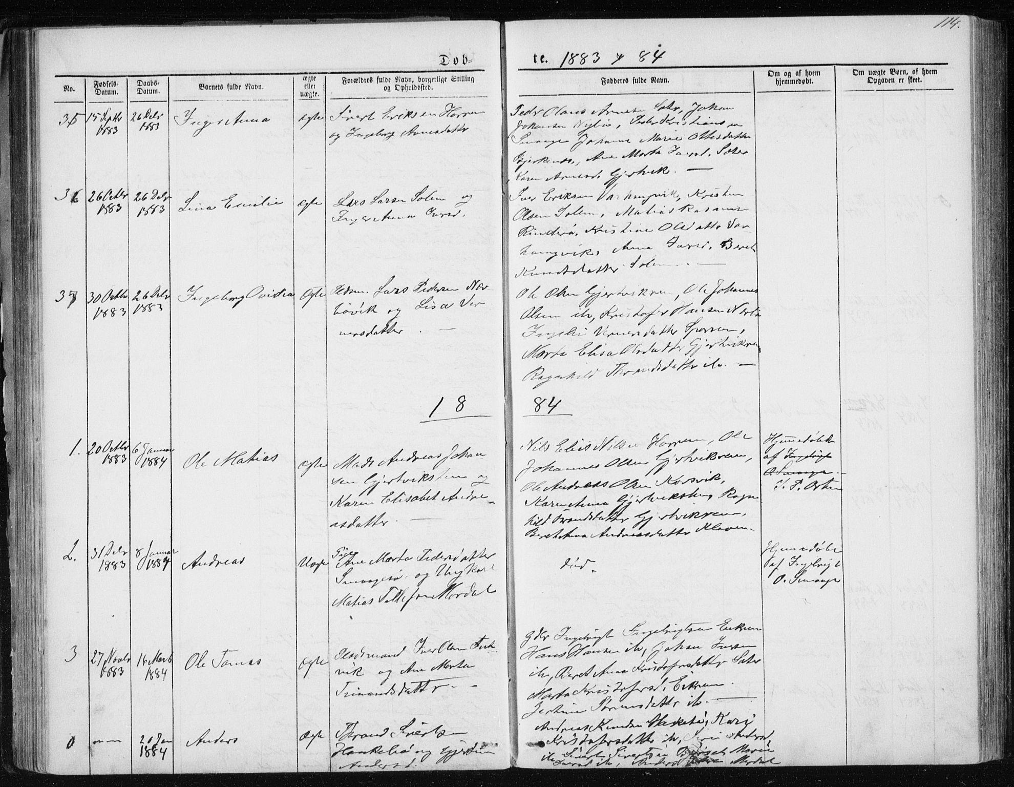 Ministerialprotokoller, klokkerbøker og fødselsregistre - Møre og Romsdal, SAT/A-1454/560/L0724: Parish register (copy) no. 560C01, 1867-1892, p. 114