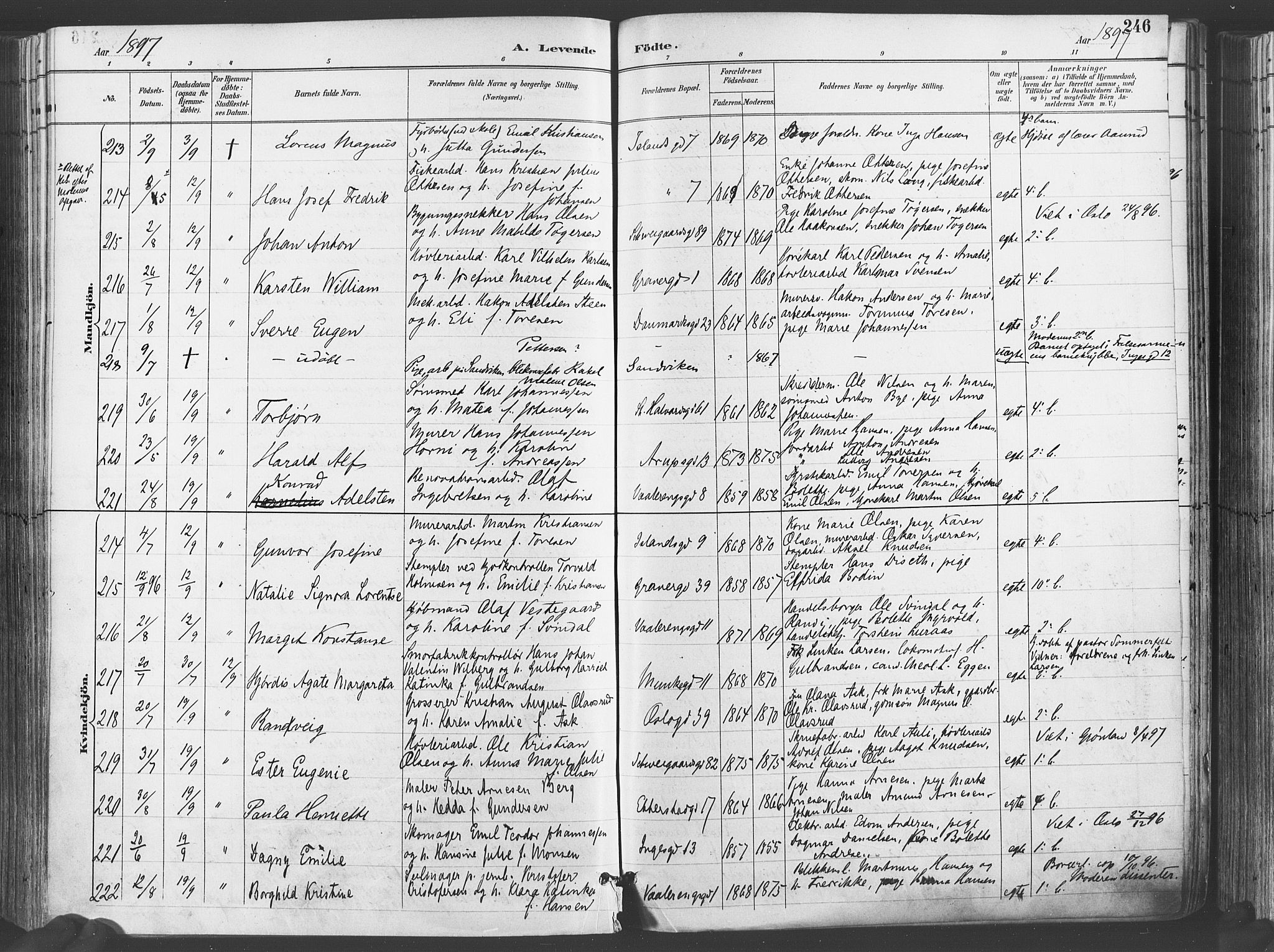 Gamlebyen prestekontor Kirkebøker, SAO/A-10884/F/Fa/L0007: Parish register (official) no. 7, 1889-1899, p. 246