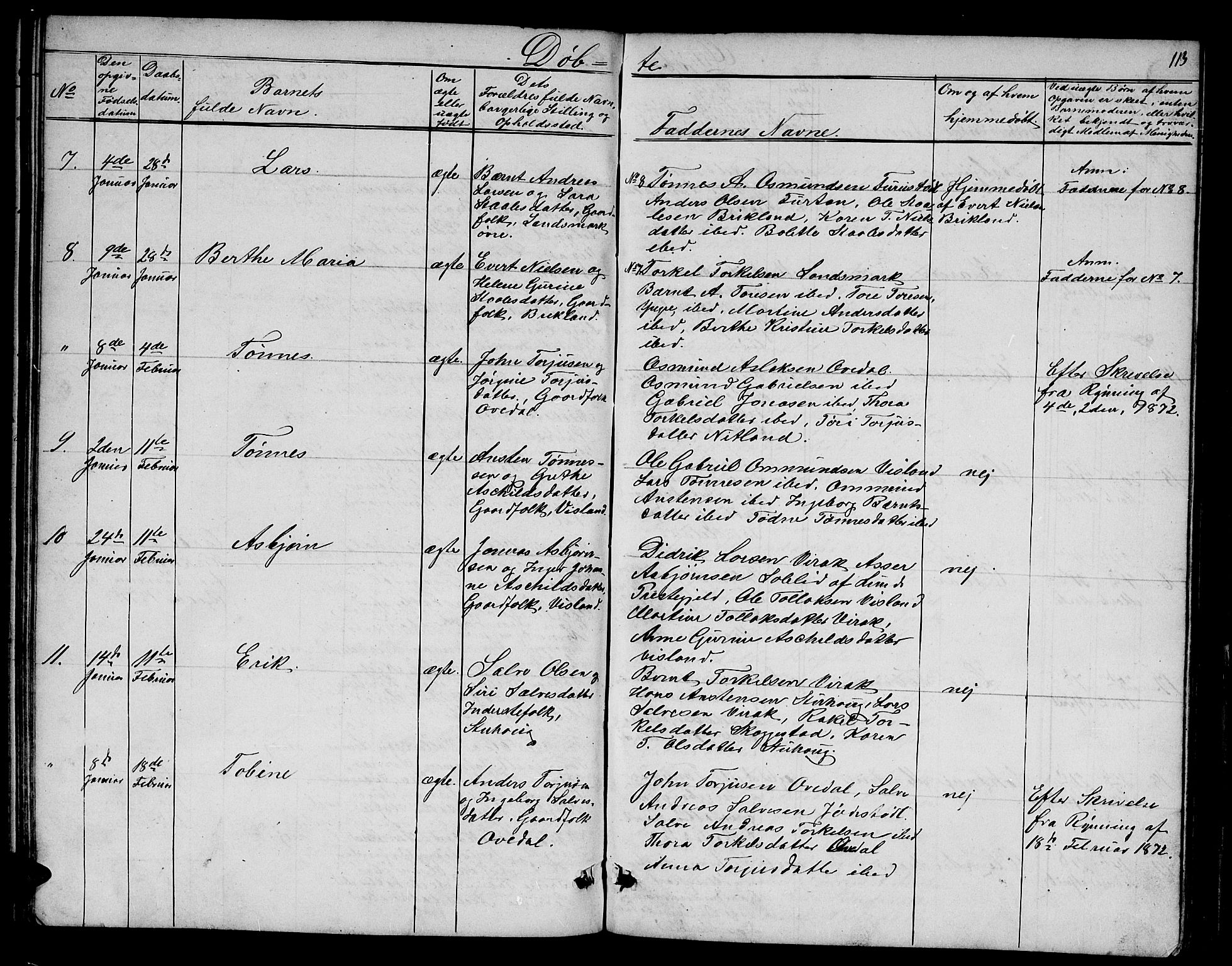 Bakke sokneprestkontor, AV/SAK-1111-0002/F/Fb/Fba/L0001: Parish register (copy) no. B 1, 1849-1879, p. 113