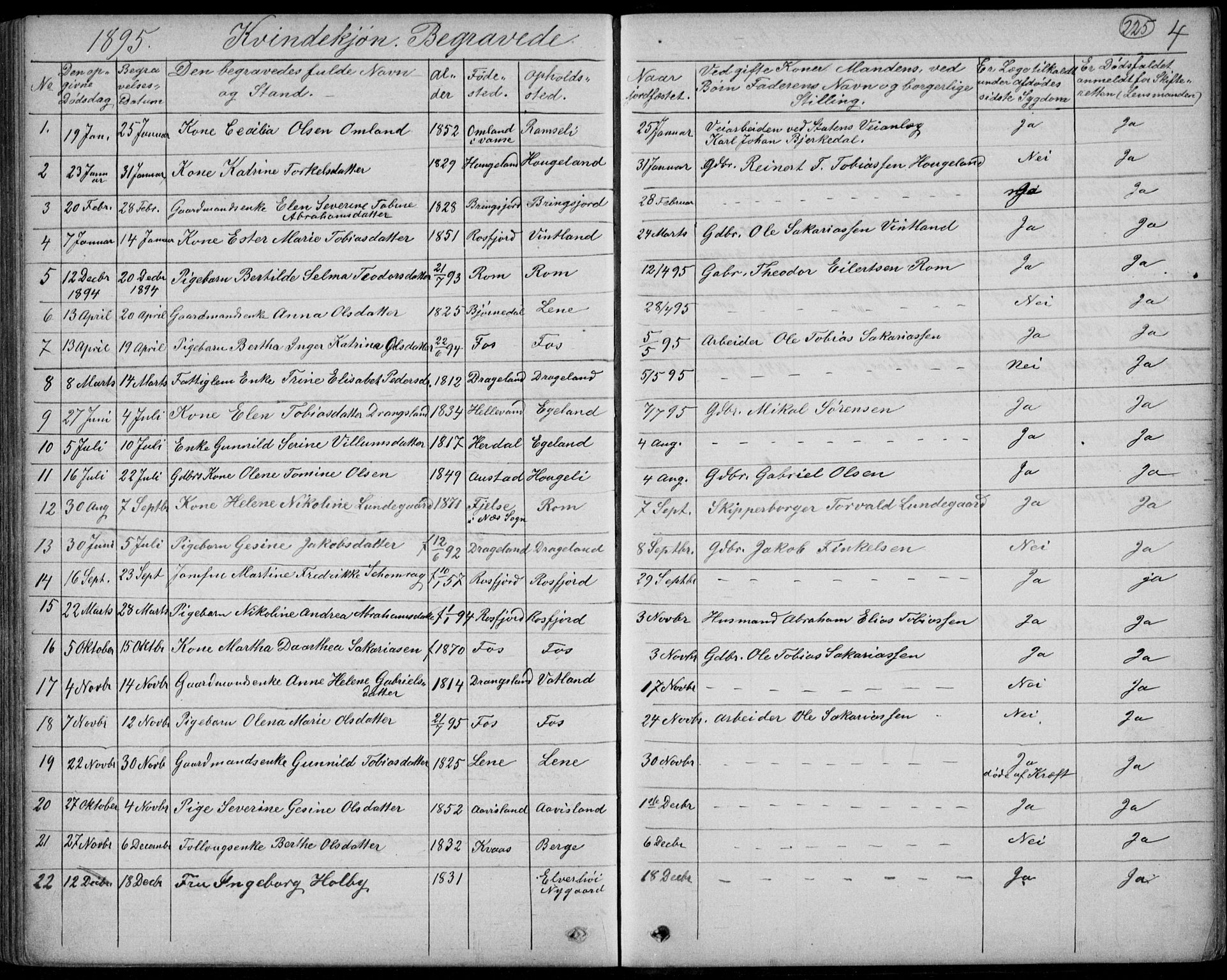 Lyngdal sokneprestkontor, AV/SAK-1111-0029/F/Fb/Fbc/L0004: Parish register (copy) no. B 4, 1878-1896, p. 225