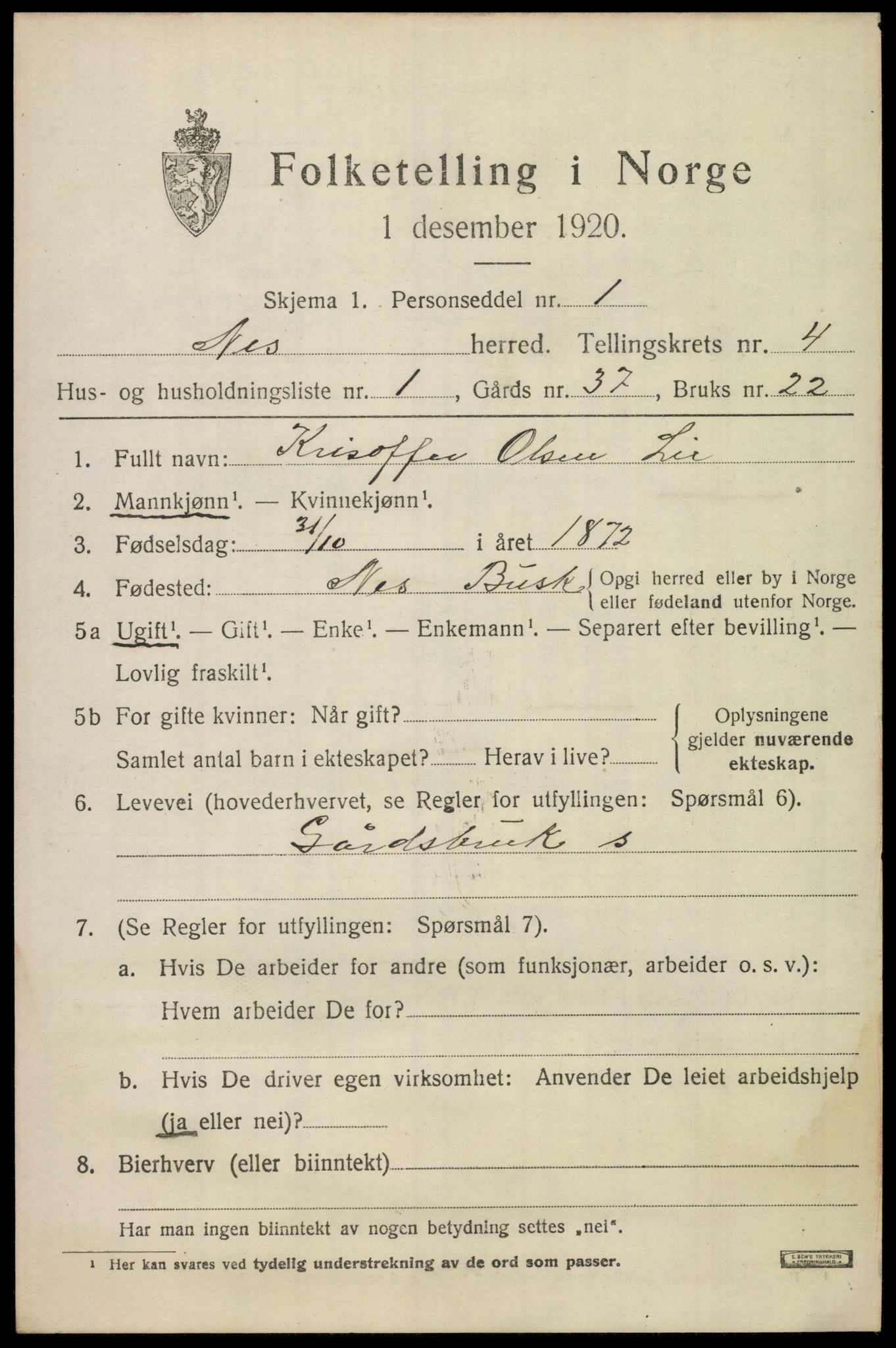 SAKO, 1920 census for Nes (Buskerud), 1920, p. 1984