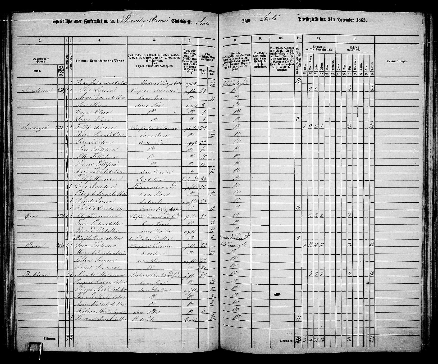 RA, 1865 census for Ål, 1865, p. 161
