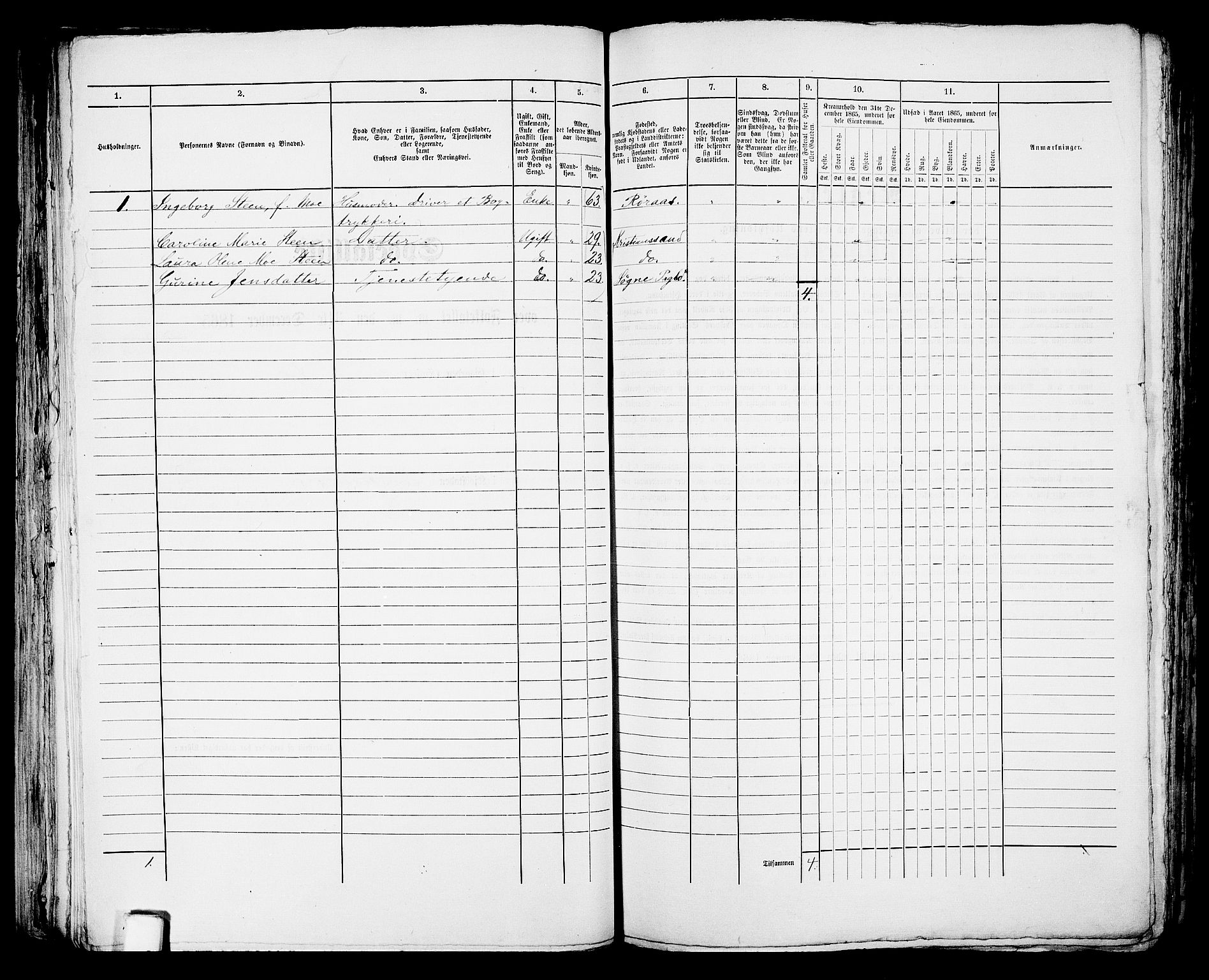 RA, 1865 census for Kristiansand, 1865, p. 1675