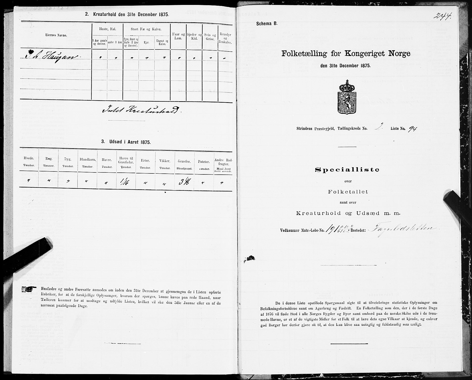 SAT, 1875 census for 1660P Strinda, 1875, p. 1244