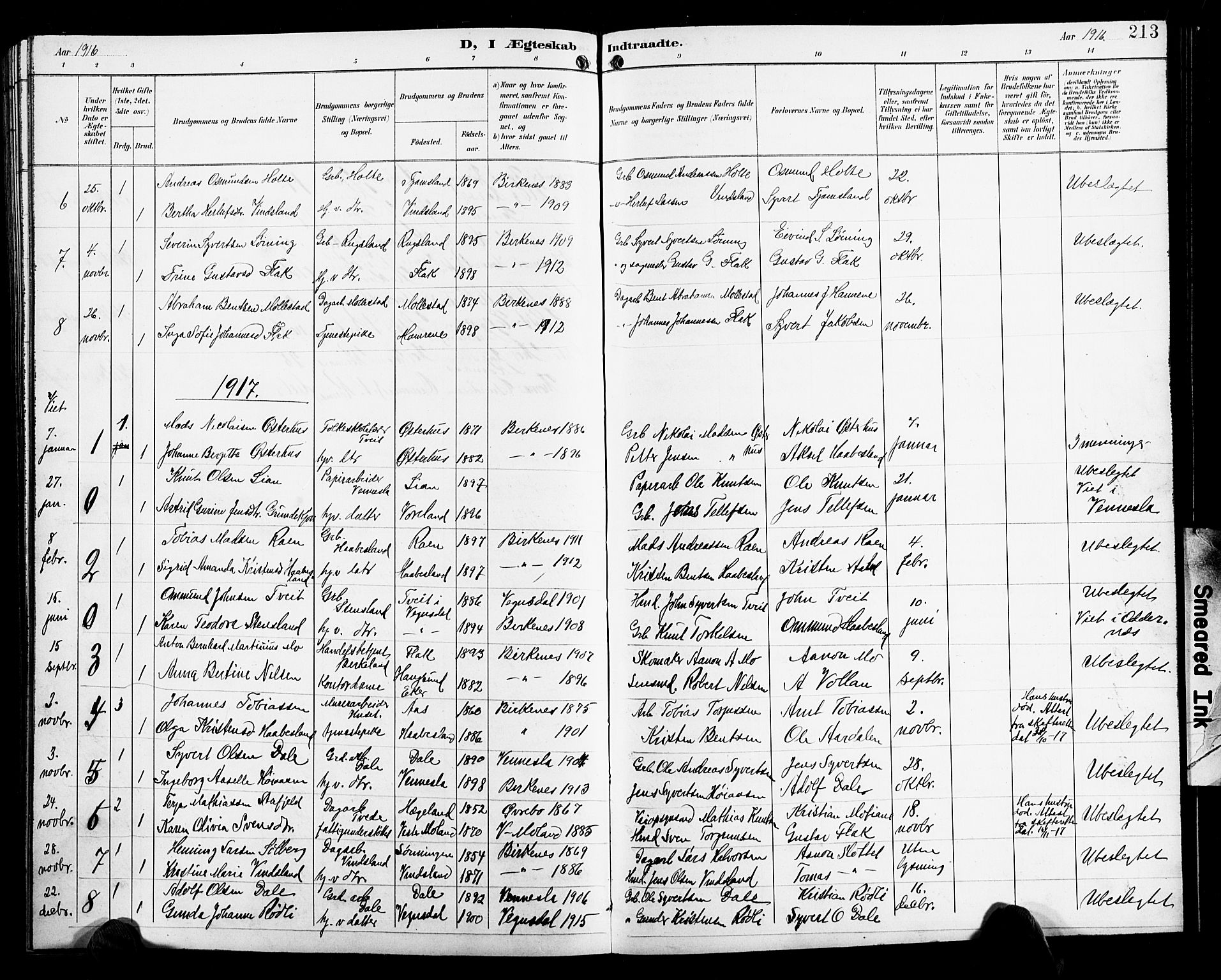 Birkenes sokneprestkontor, AV/SAK-1111-0004/F/Fb/L0004: Parish register (copy) no. B 4, 1893-1930, p. 213