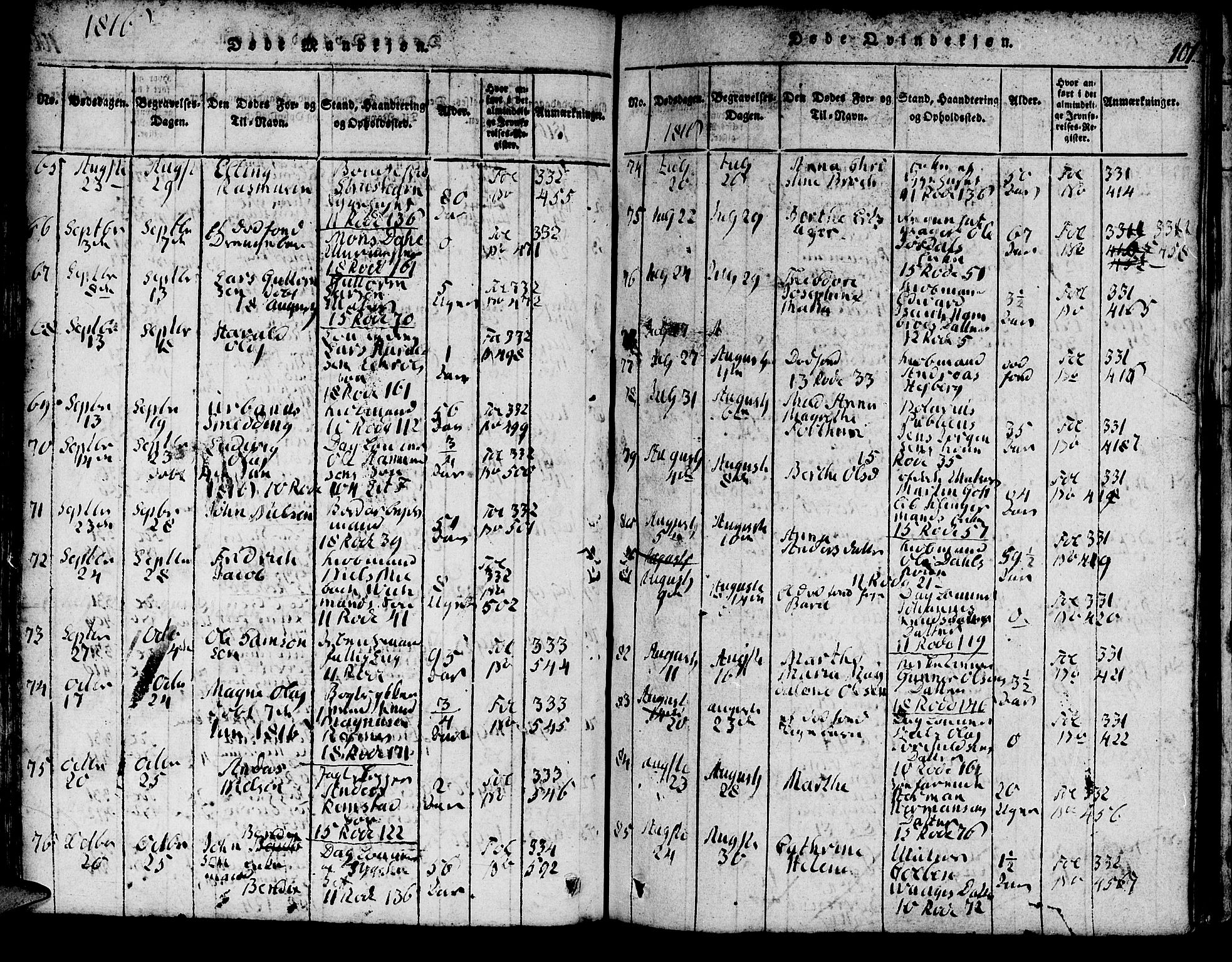 Domkirken sokneprestembete, AV/SAB-A-74801/H/Hab/L0001: Parish register (copy) no. A 1, 1816-1821, p. 101