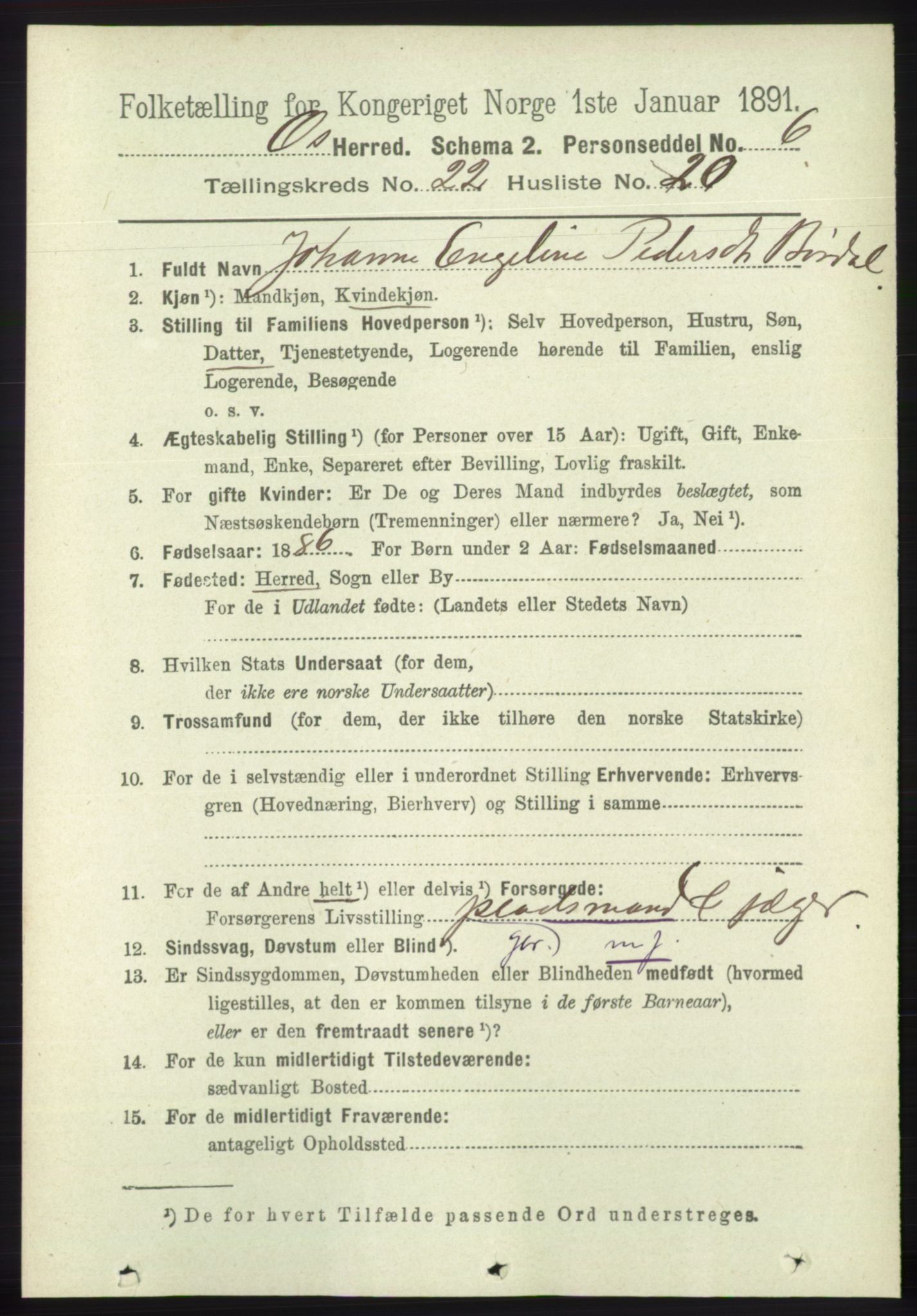 RA, 1891 census for 1243 Os, 1891, p. 5010