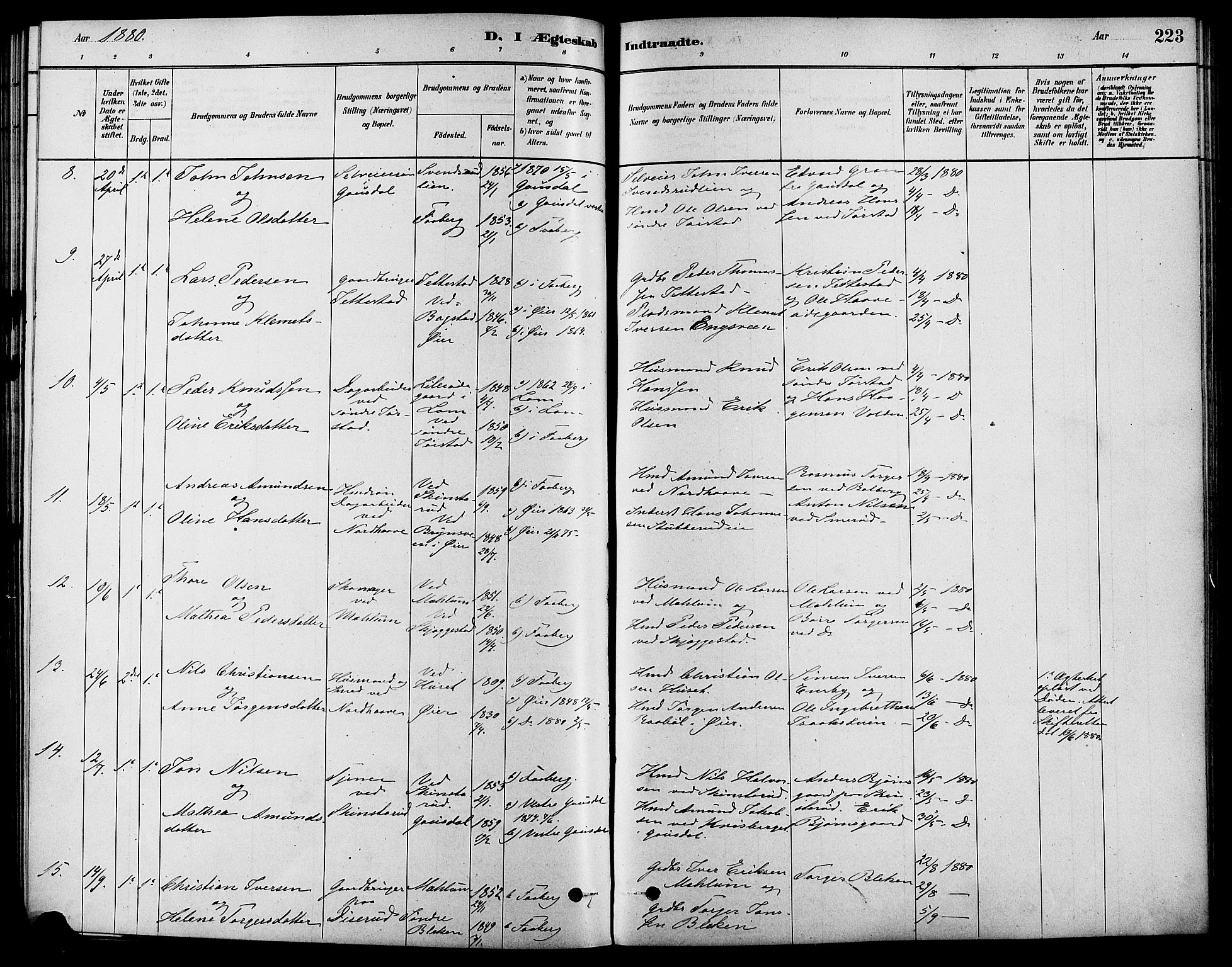 Fåberg prestekontor, SAH/PREST-086/H/Ha/Haa/L0008: Parish register (official) no. 8, 1879-1898, p. 223