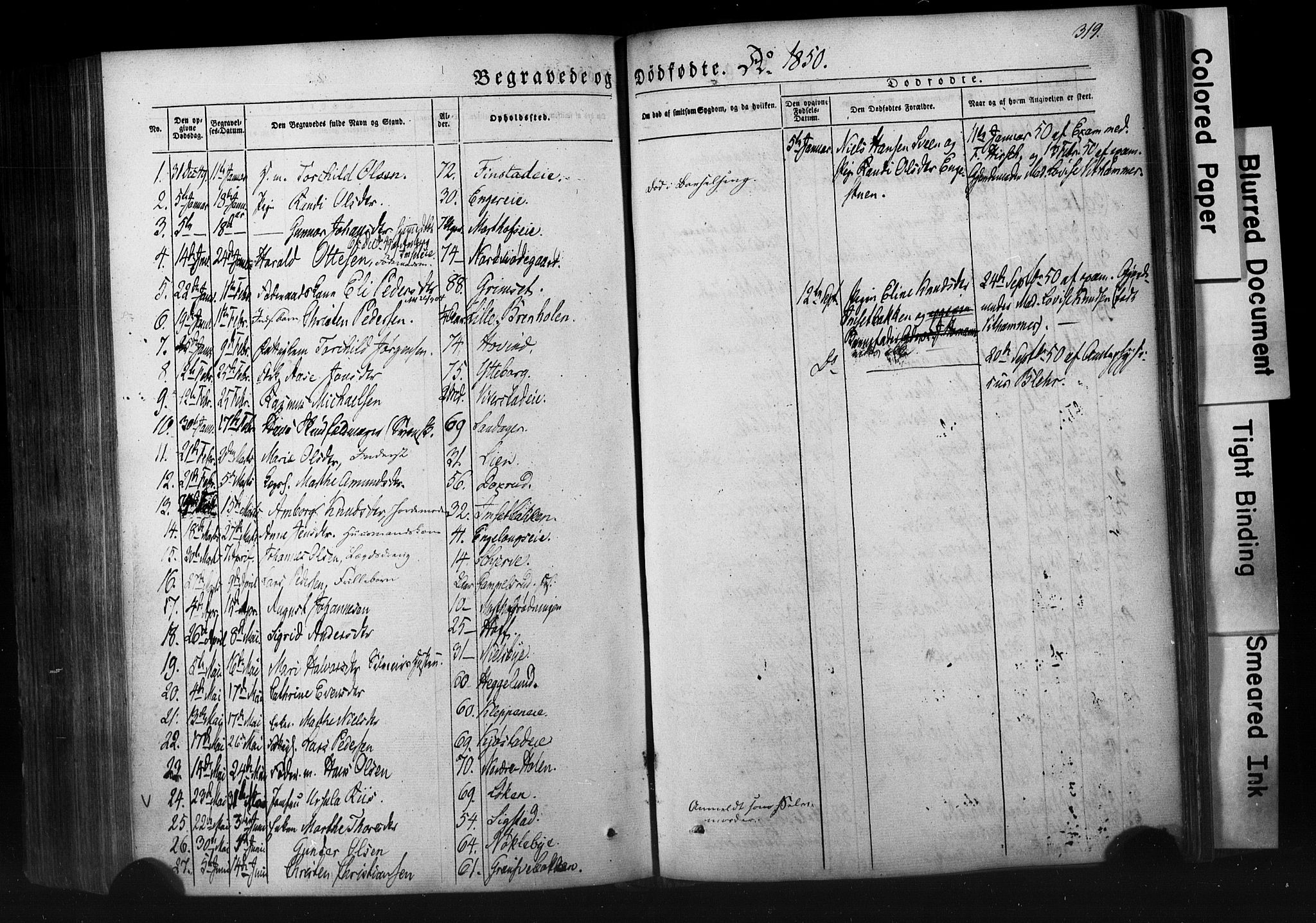 Løten prestekontor, SAH/PREST-022/K/Ka/L0007: Parish register (official) no. 7, 1850-1859, p. 319