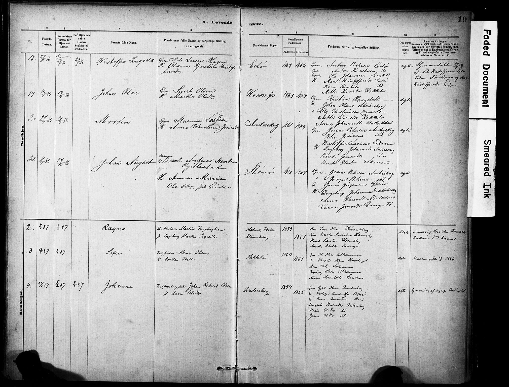 Ministerialprotokoller, klokkerbøker og fødselsregistre - Sør-Trøndelag, AV/SAT-A-1456/635/L0551: Parish register (official) no. 635A01, 1882-1899, p. 19