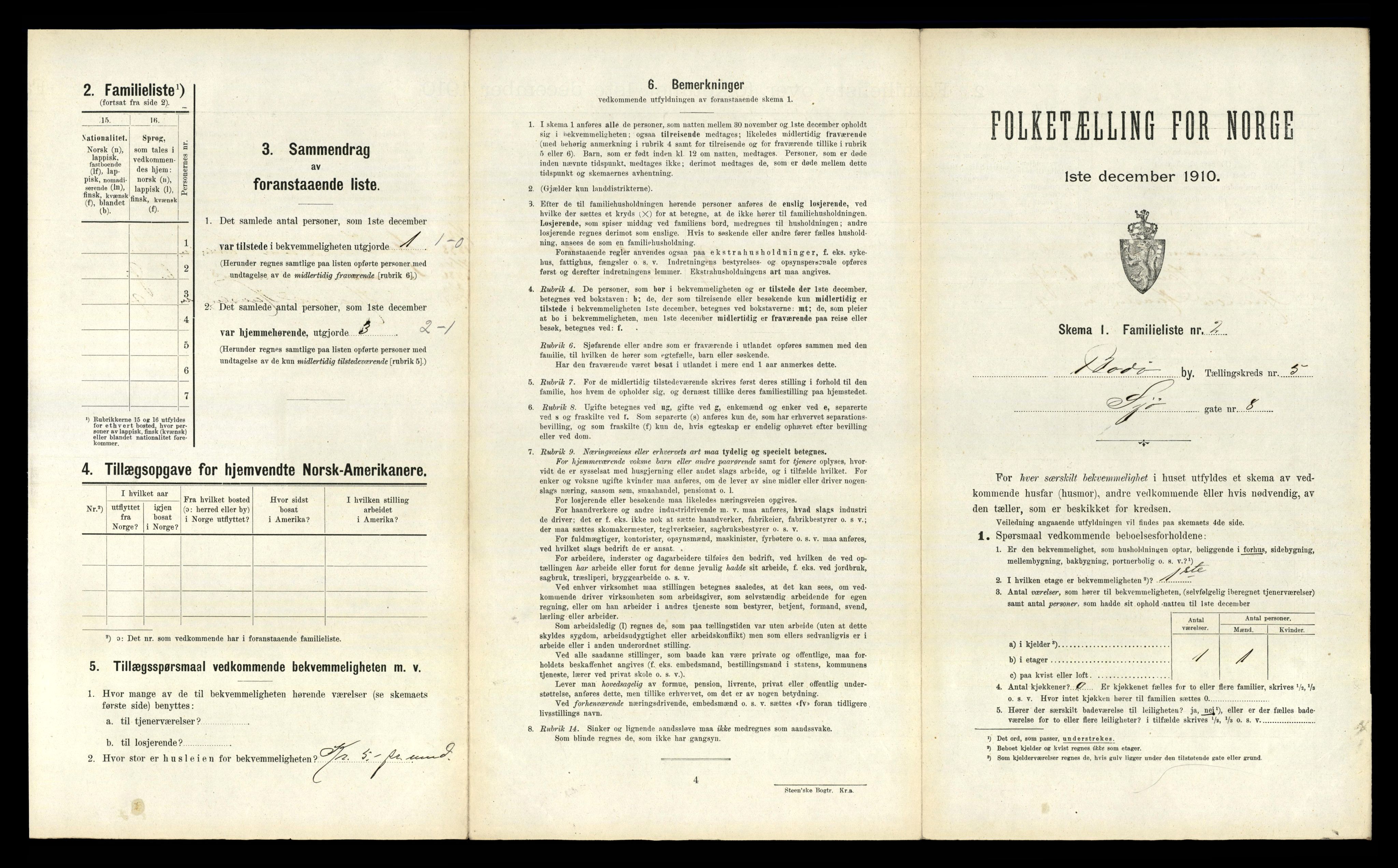 RA, 1910 census for Bodø, 1910, p. 1305