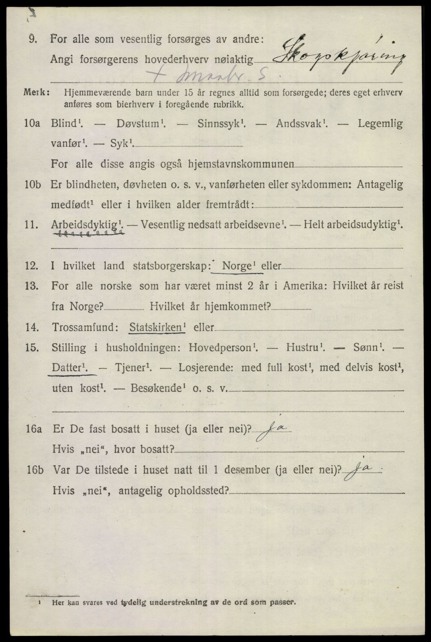 SAKO, 1920 census for Sigdal, 1920, p. 4229