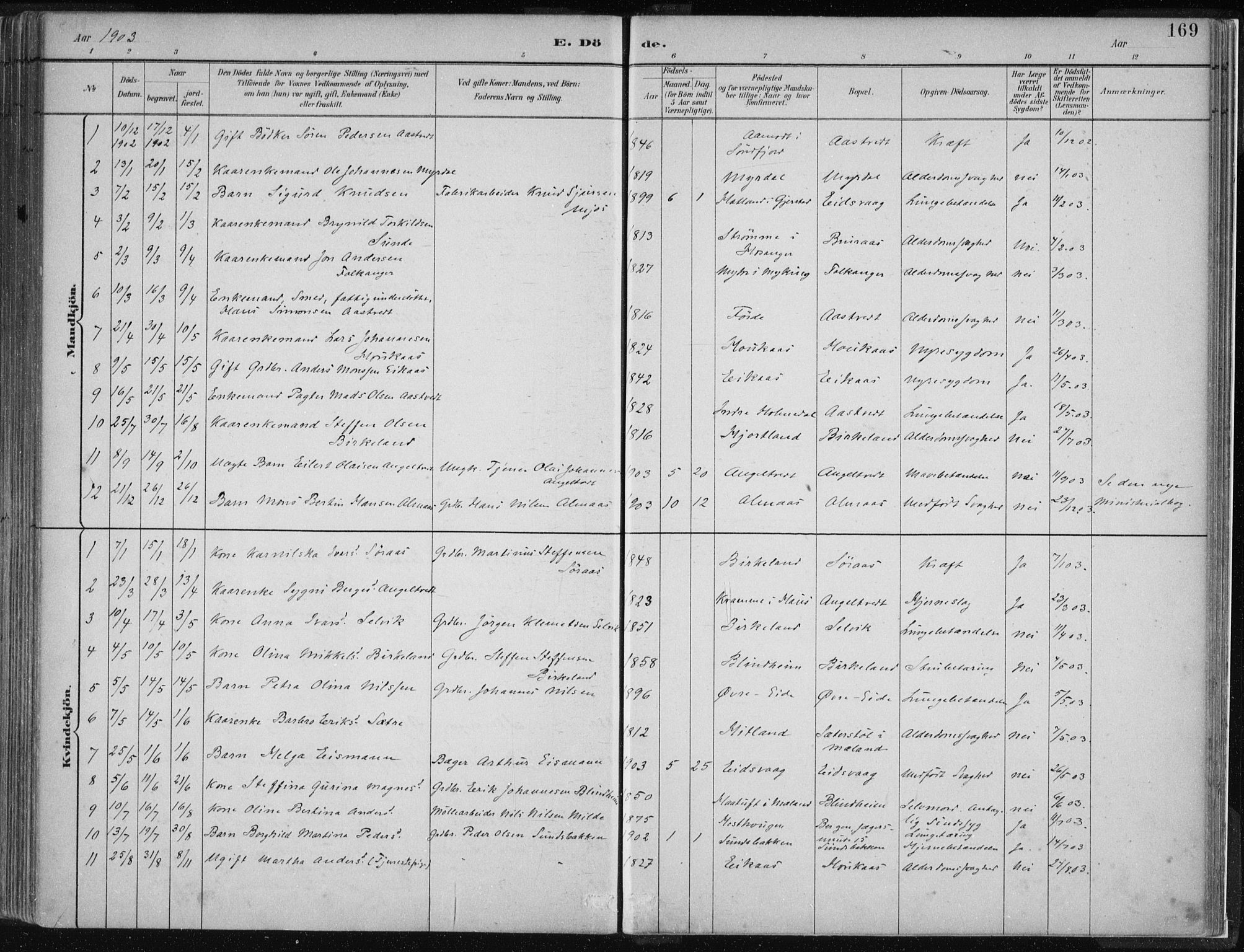 Hamre sokneprestembete, SAB/A-75501/H/Ha/Haa/Haad/L0001: Parish register (official) no. D  1, 1882-1906, p. 169