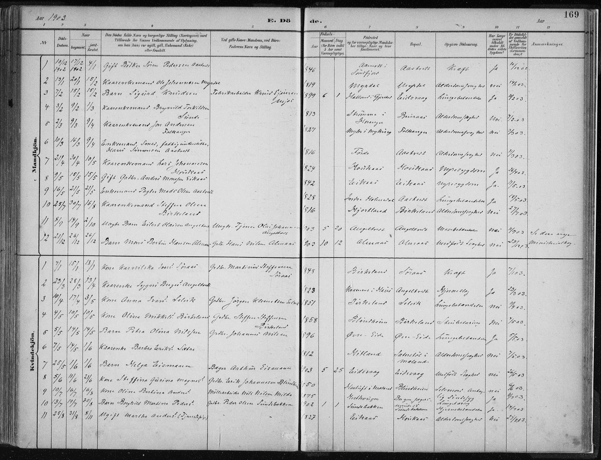 Hamre sokneprestembete, AV/SAB-A-75501/H/Ha/Haa/Haad/L0001: Parish register (official) no. D  1, 1882-1906, p. 169