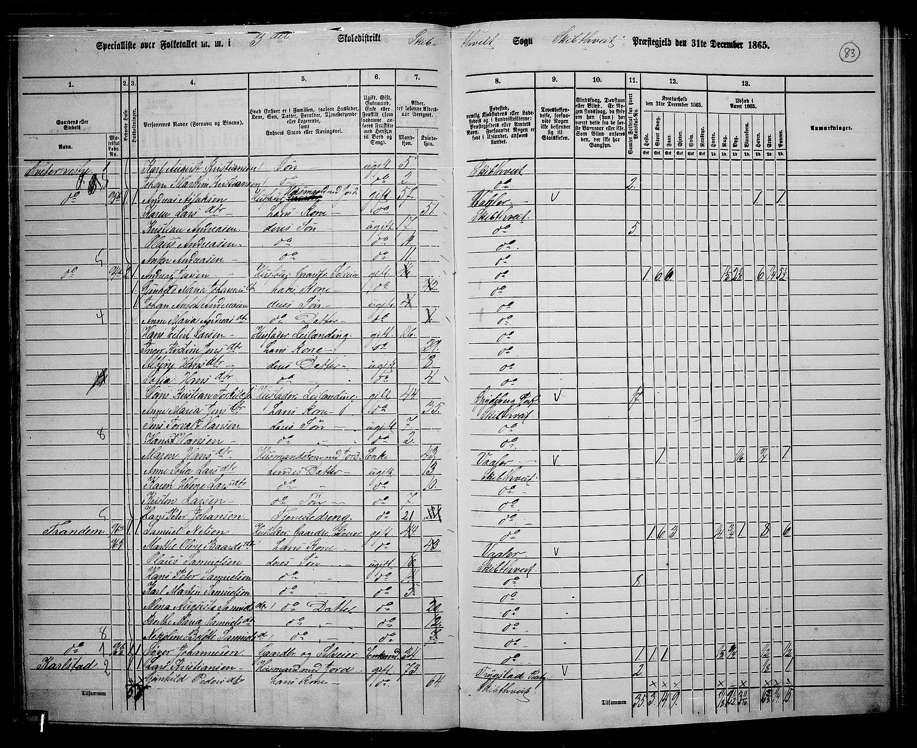 RA, 1865 census for Skiptvet, 1865, p. 74