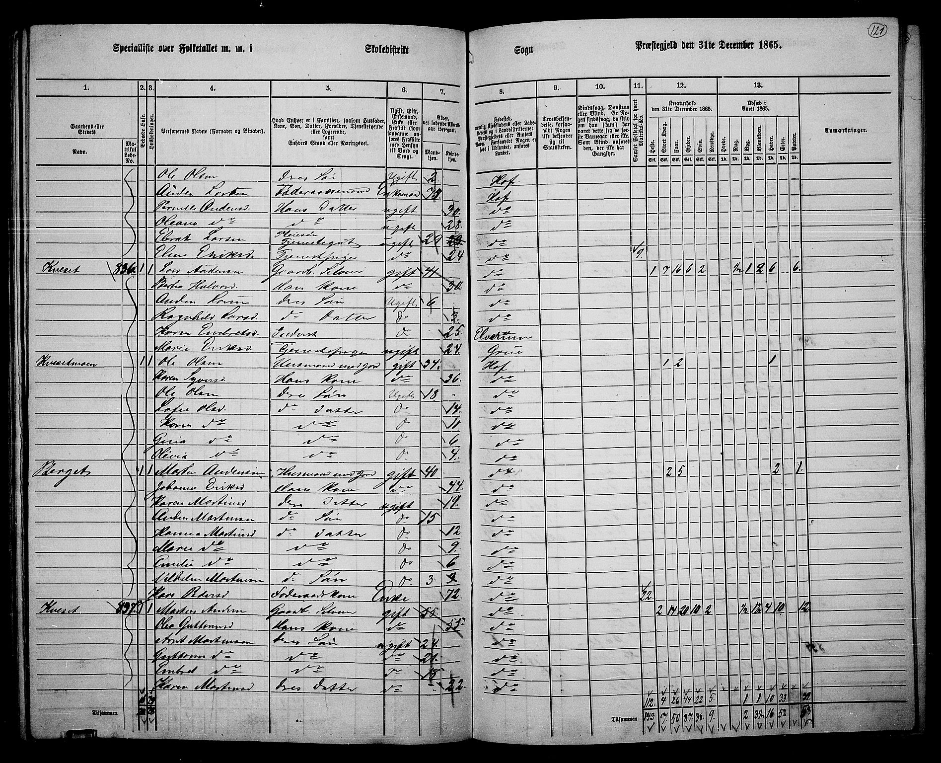RA, 1865 census for Hof, 1865, p. 113