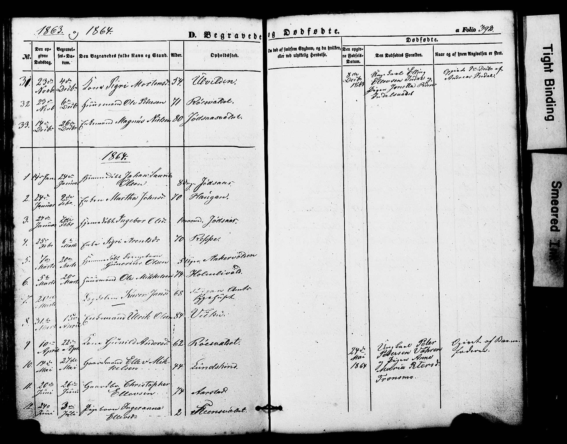 Ministerialprotokoller, klokkerbøker og fødselsregistre - Nord-Trøndelag, AV/SAT-A-1458/724/L0268: Parish register (copy) no. 724C04, 1846-1878, p. 393
