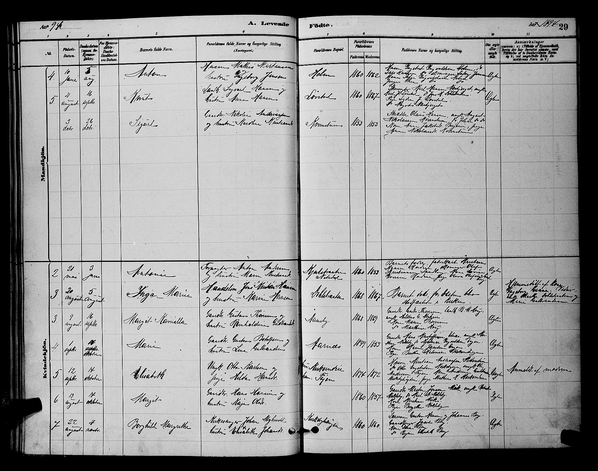 Nittedal prestekontor Kirkebøker, SAO/A-10365a/G/Gb/L0002: Parish register (copy) no. II 2, 1879-1901, p. 29