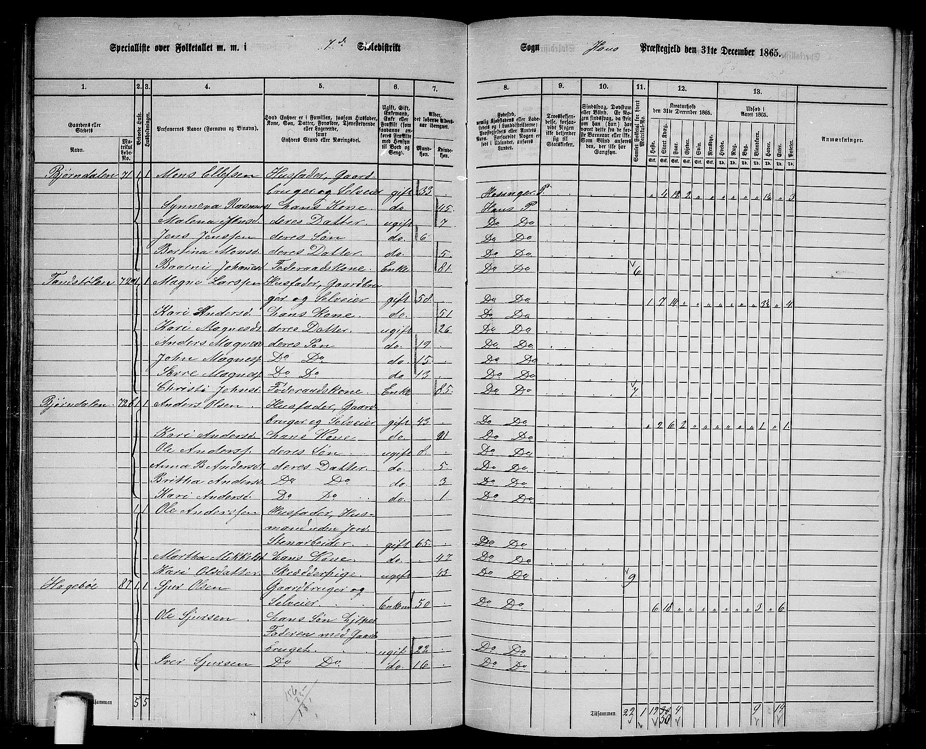 RA, 1865 census for Haus, 1865, p. 133