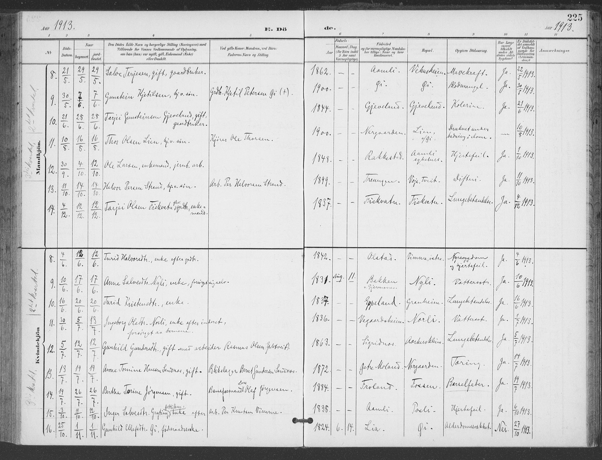 Åmli sokneprestkontor, AV/SAK-1111-0050/F/Fa/Fac/L0012: Parish register (official) no. A 12, 1900-1914, p. 225