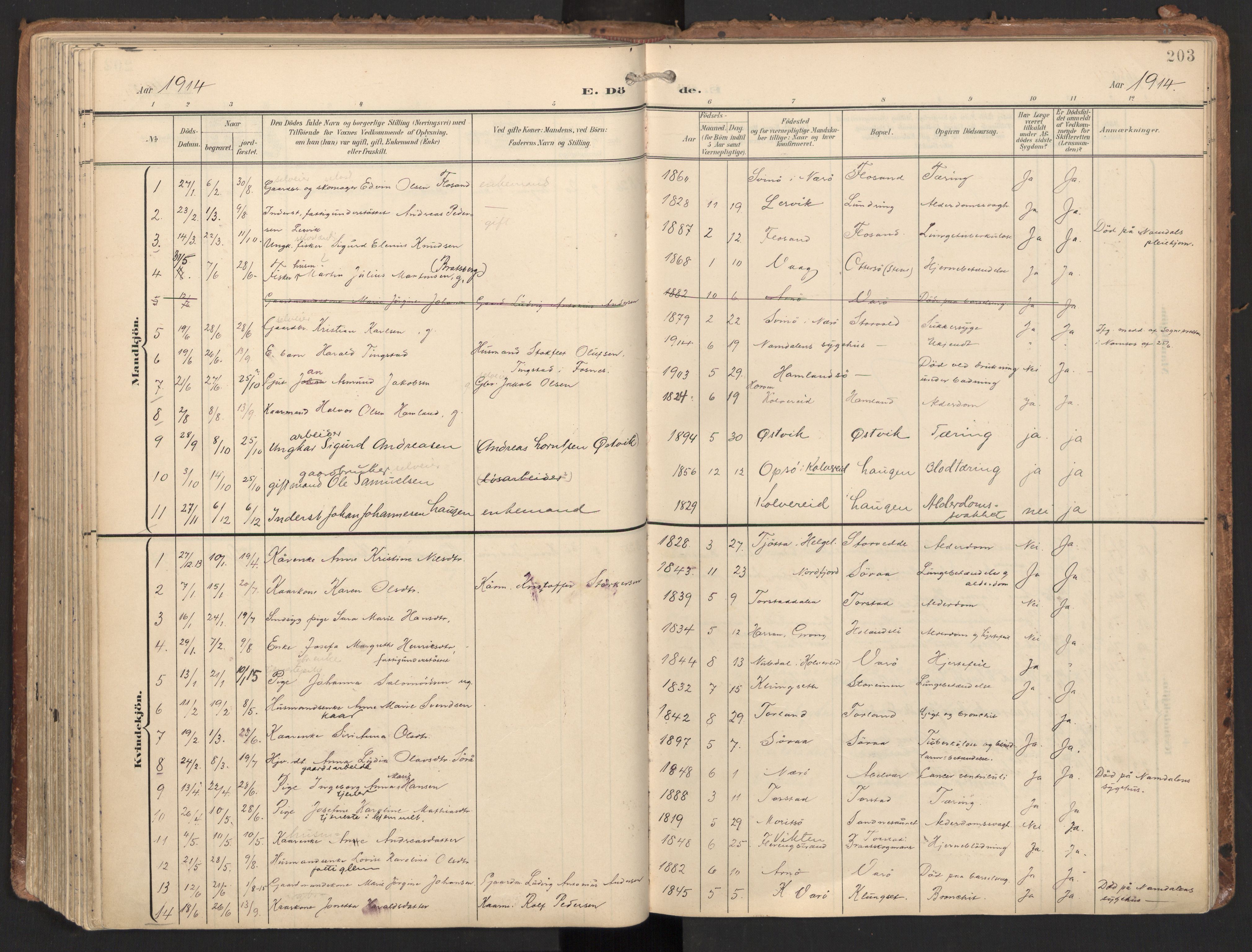 Ministerialprotokoller, klokkerbøker og fødselsregistre - Nord-Trøndelag, SAT/A-1458/784/L0677: Parish register (official) no. 784A12, 1900-1920, p. 203