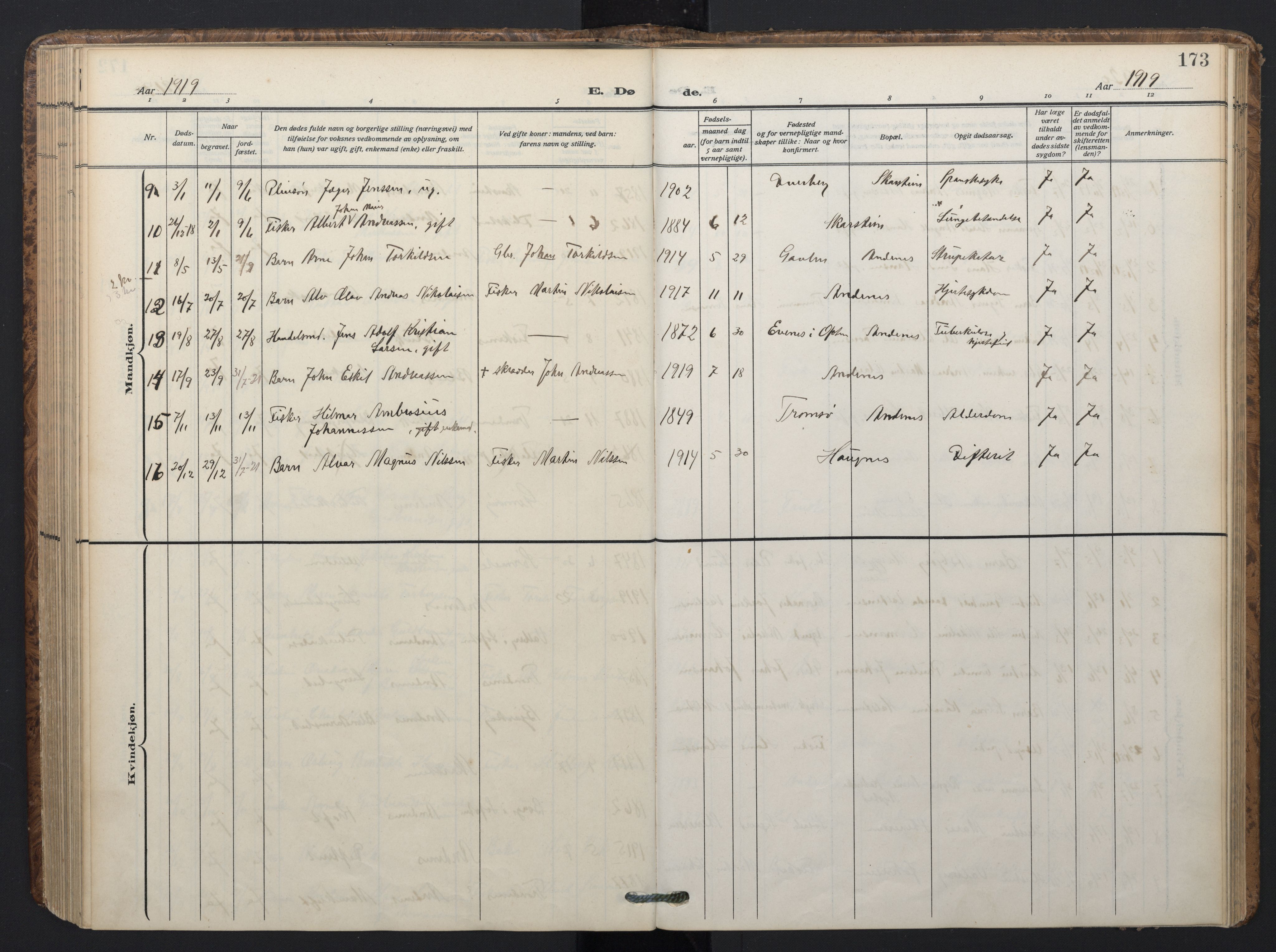 Ministerialprotokoller, klokkerbøker og fødselsregistre - Nordland, SAT/A-1459/899/L1438: Parish register (official) no. 899A06, 1909-1922, p. 173