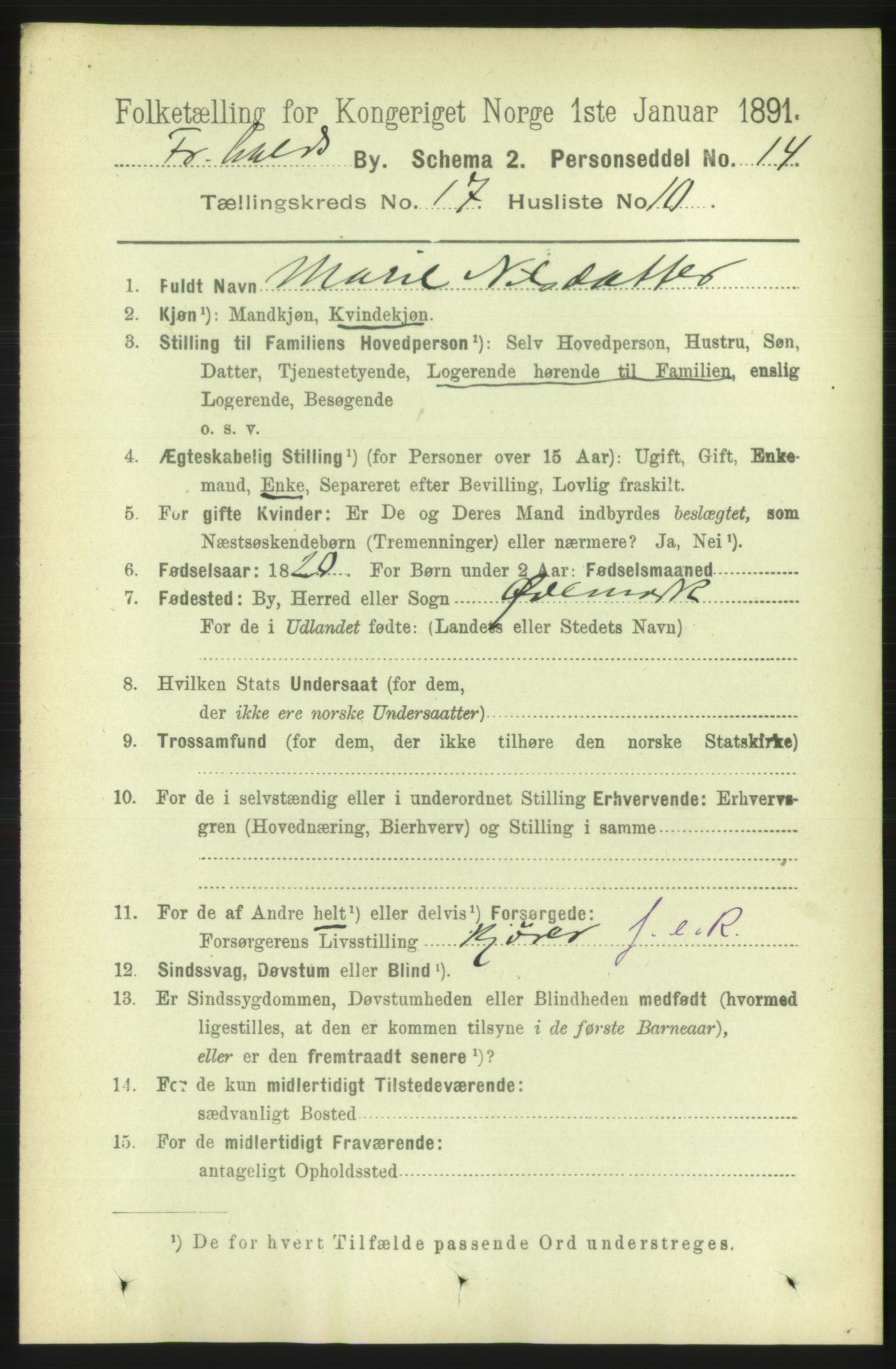 RA, 1891 census for 0101 Fredrikshald, 1891, p. 11009