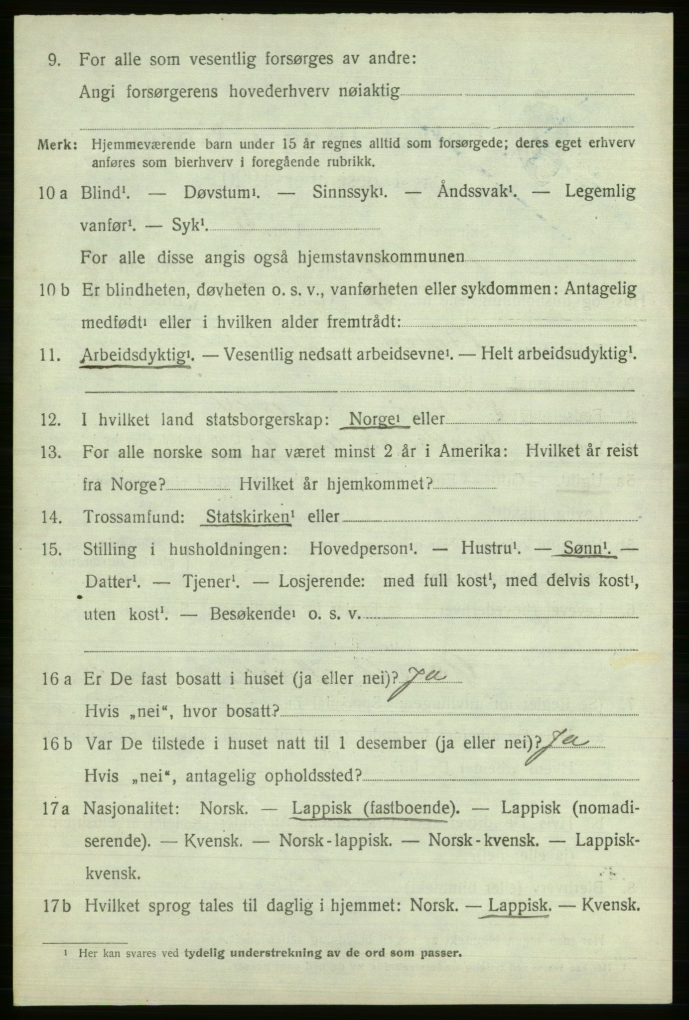 SATØ, 1920 census for Nesseby, 1920, p. 1197