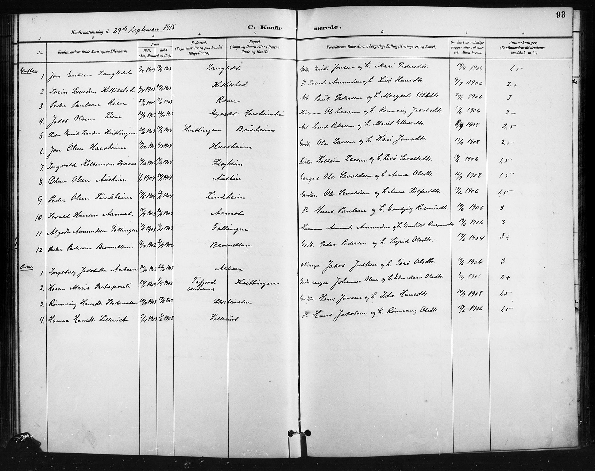Skjåk prestekontor, SAH/PREST-072/H/Ha/Hab/L0004: Parish register (copy) no. 4, 1895-1921, p. 93