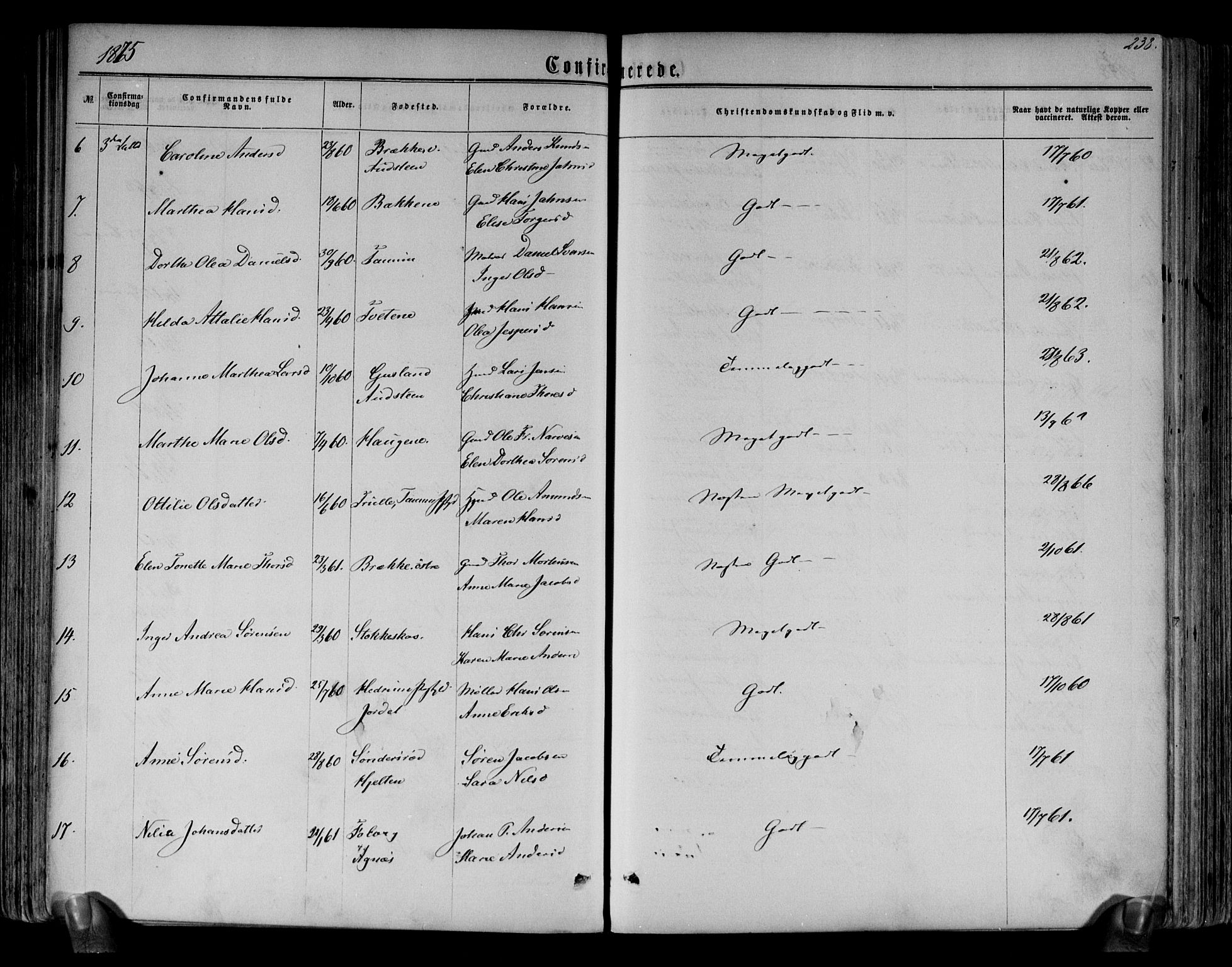 Brunlanes kirkebøker, AV/SAKO-A-342/F/Fa/L0005: Parish register (official) no. I 5, 1862-1877, p. 238