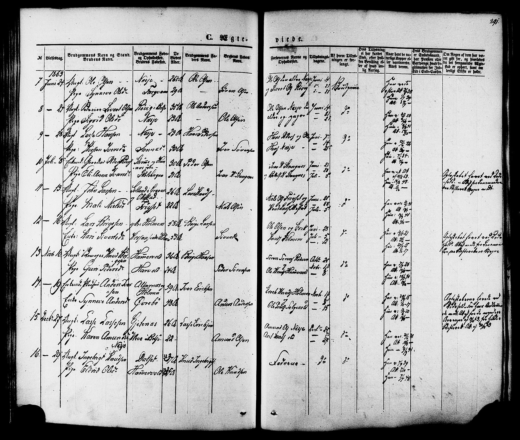 Ministerialprotokoller, klokkerbøker og fødselsregistre - Møre og Romsdal, AV/SAT-A-1454/547/L0603: Parish register (official) no. 547A05, 1846-1877, p. 291