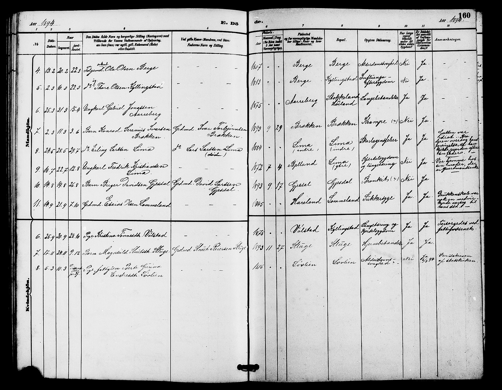 Lye sokneprestkontor, AV/SAST-A-101794/001/30BB/L0008: Parish register (copy) no. B 7, 1887-1901, p. 160