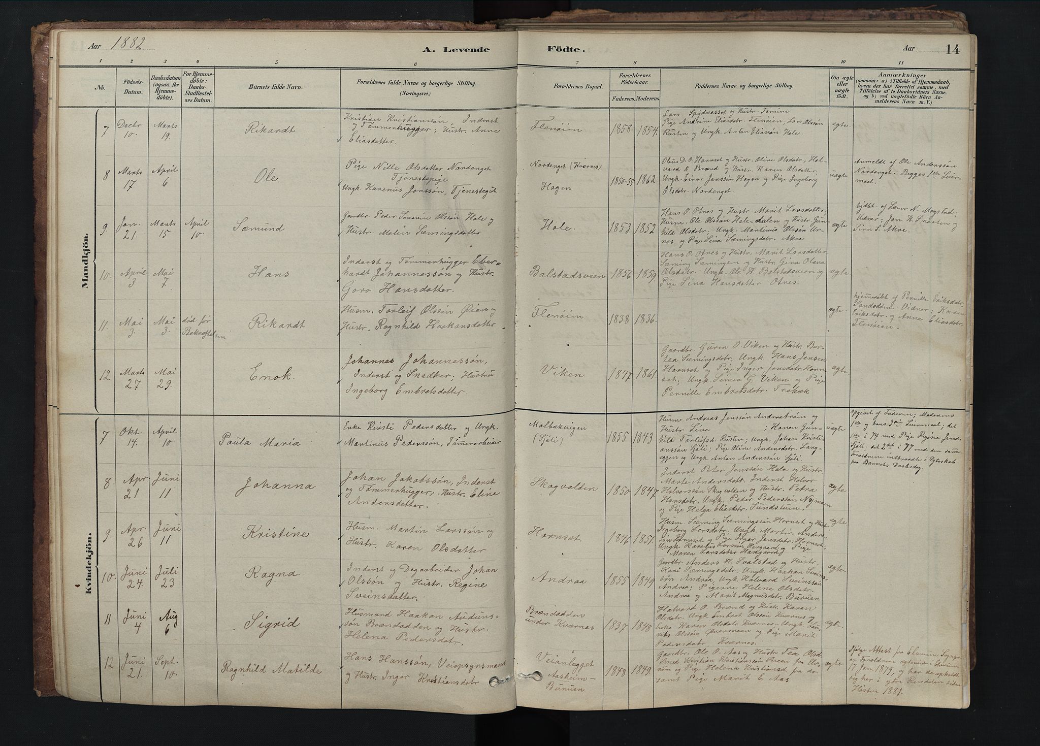 Rendalen prestekontor, SAH/PREST-054/H/Ha/Hab/L0009: Parish register (copy) no. 9, 1879-1902, p. 14