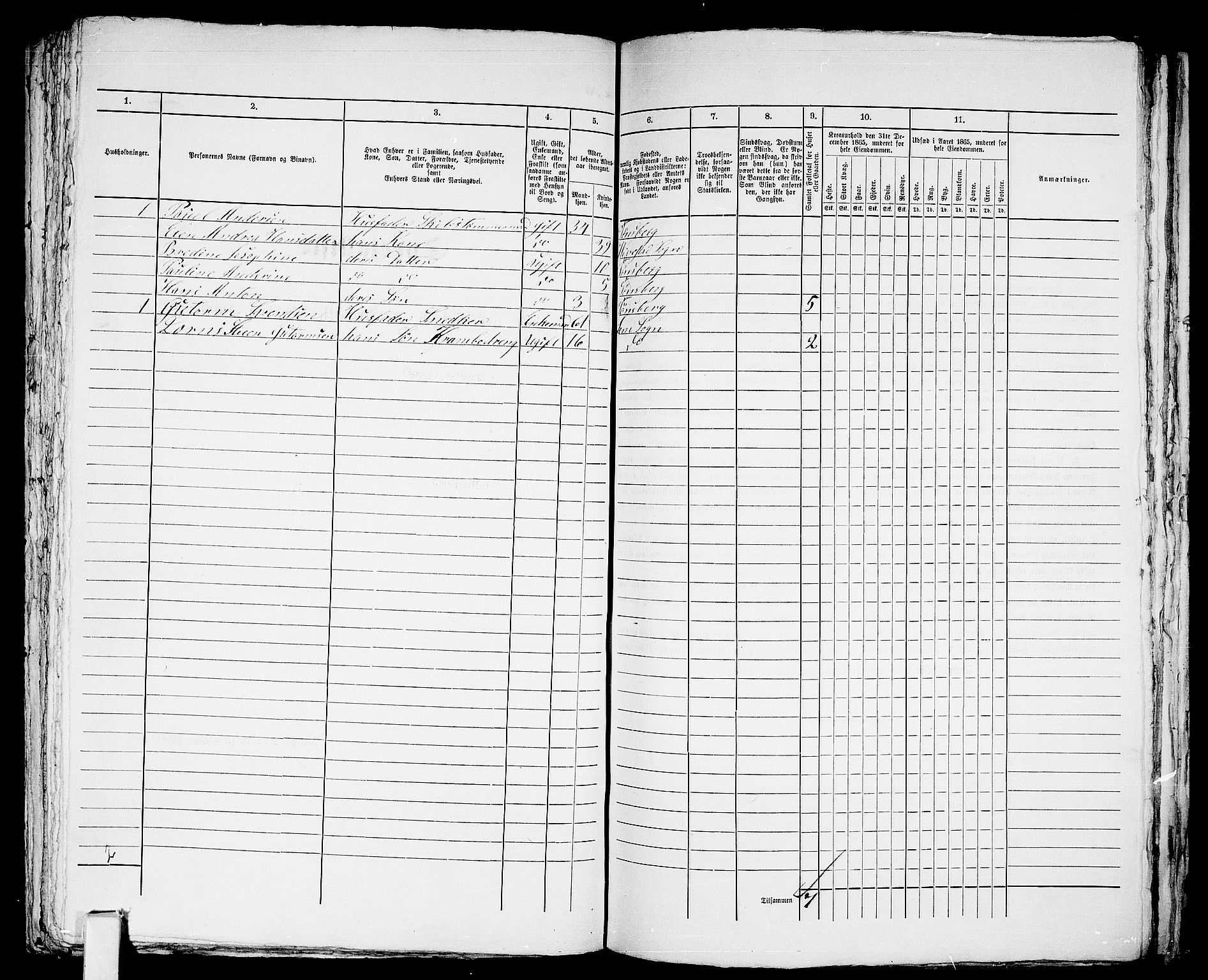 RA, 1865 census for Tønsberg, 1865, p. 605