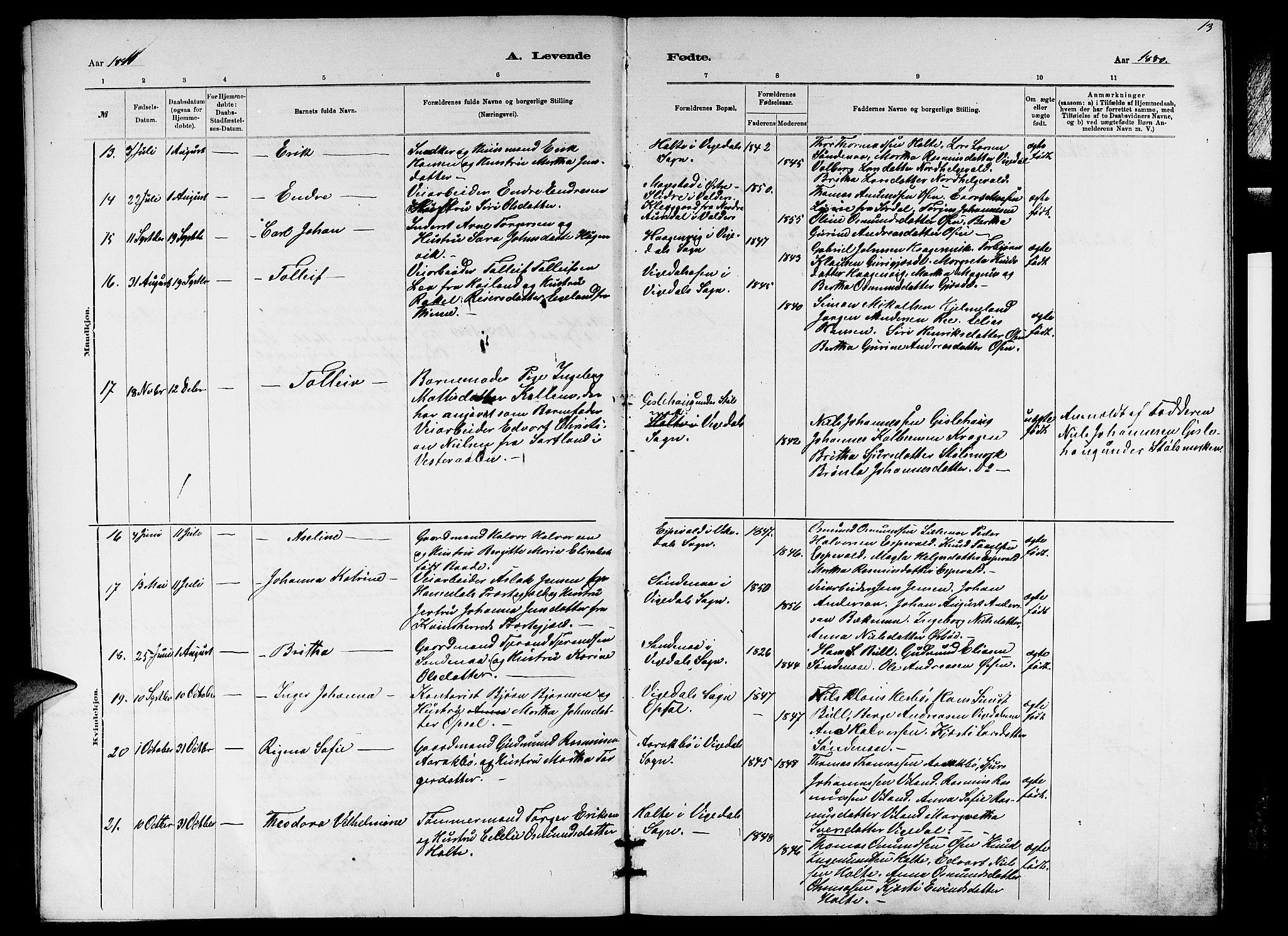 Vikedal sokneprestkontor, AV/SAST-A-101840/01/V: Parish register (copy) no. B 5, 1878-1888, p. 13