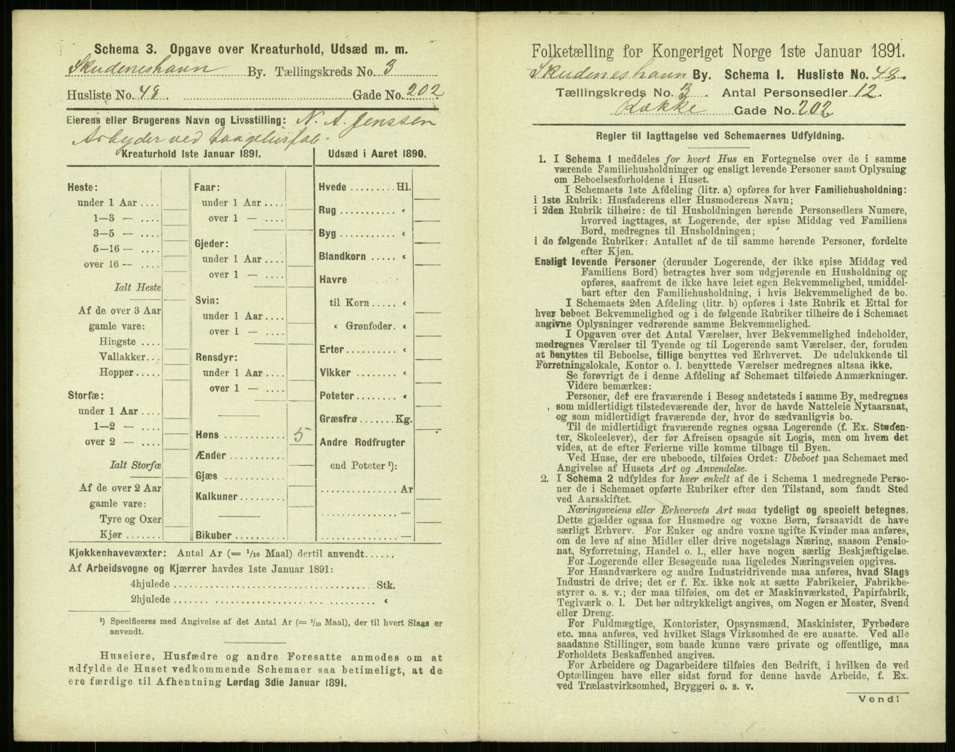 RA, 1891 census for 1104 Skudeneshavn, 1891, p. 286