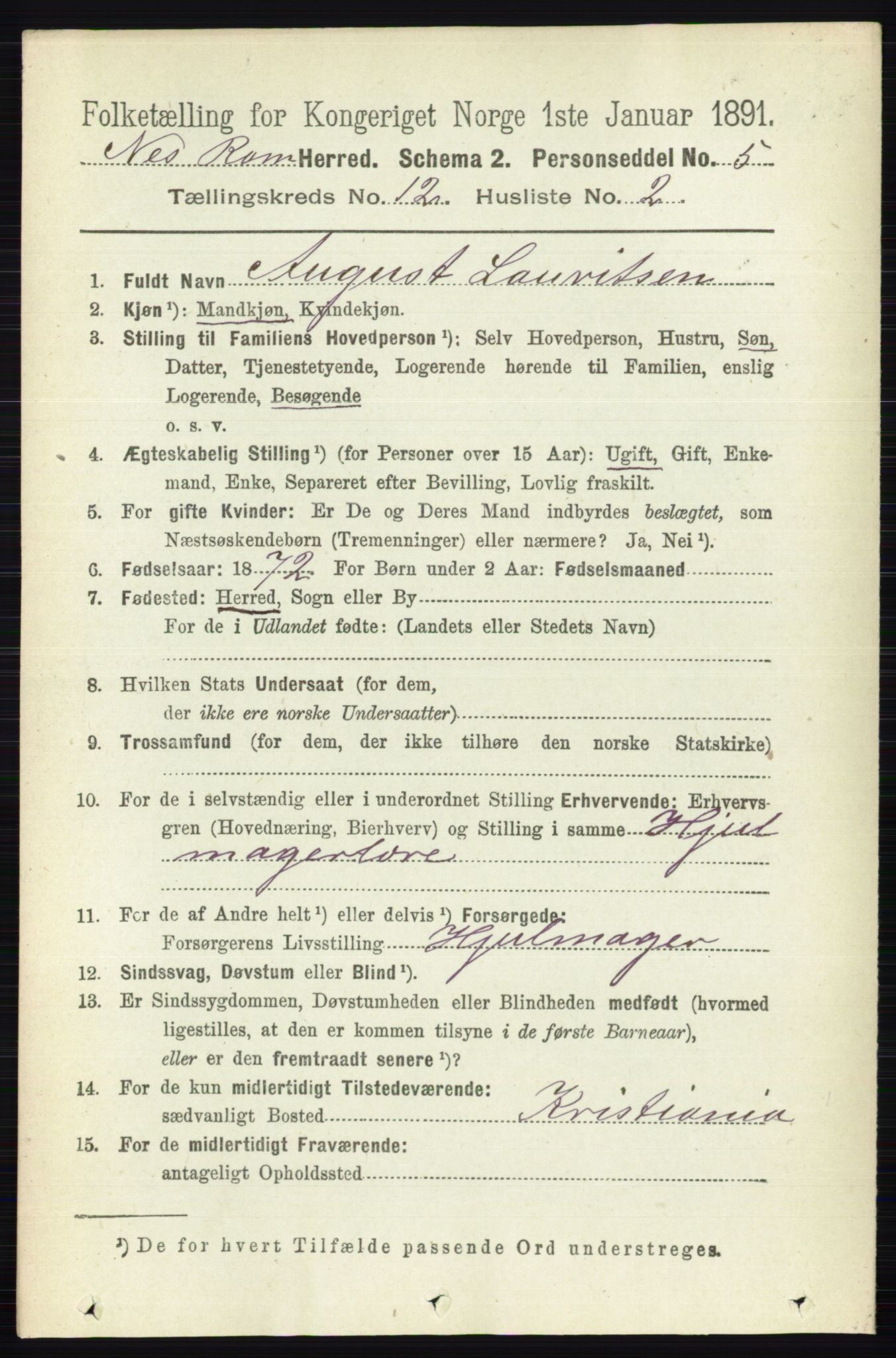 RA, 1891 census for 0236 Nes, 1891, p. 7119