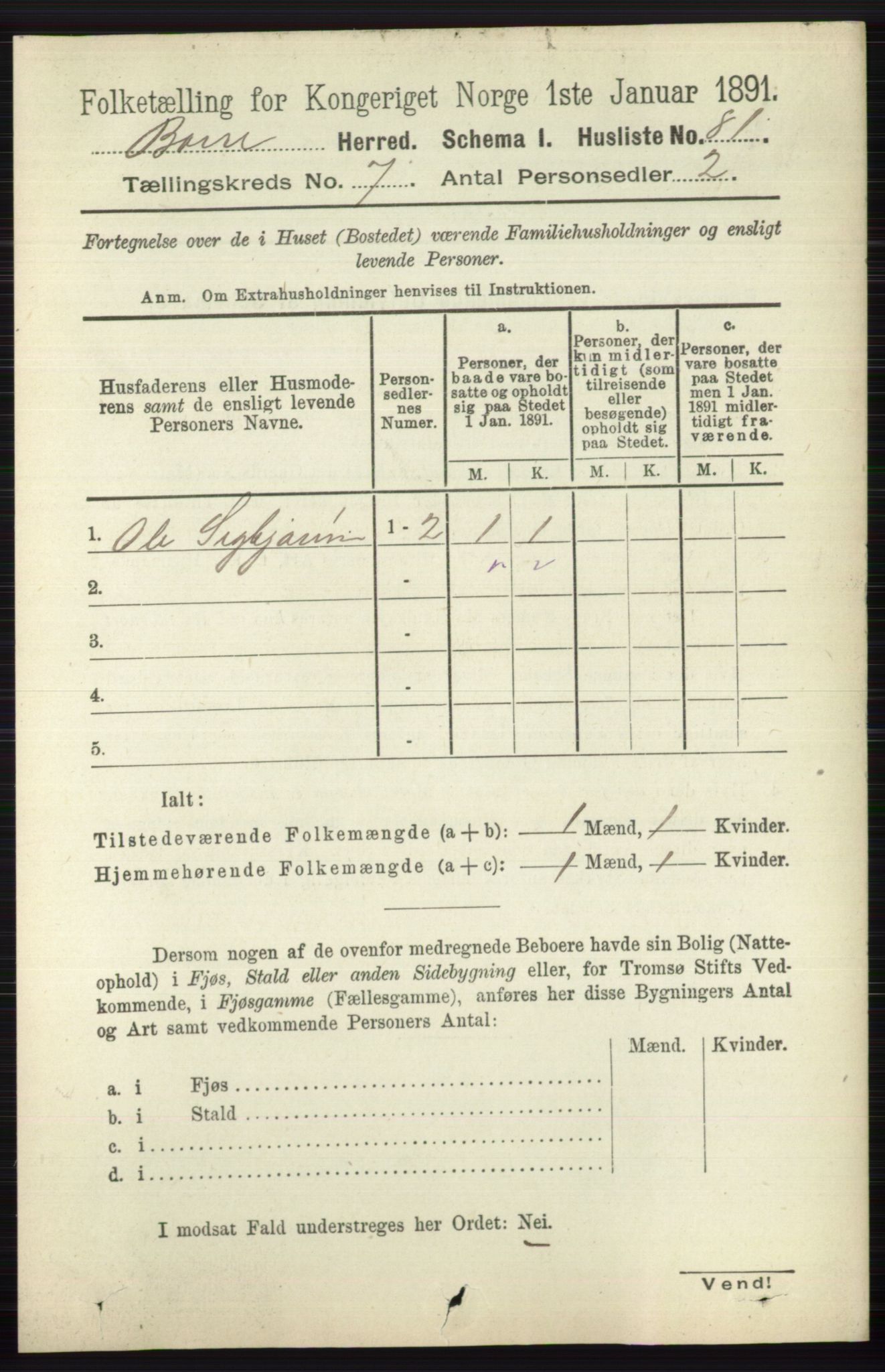 RA, 1891 census for 0717 Borre, 1891, p. 3217