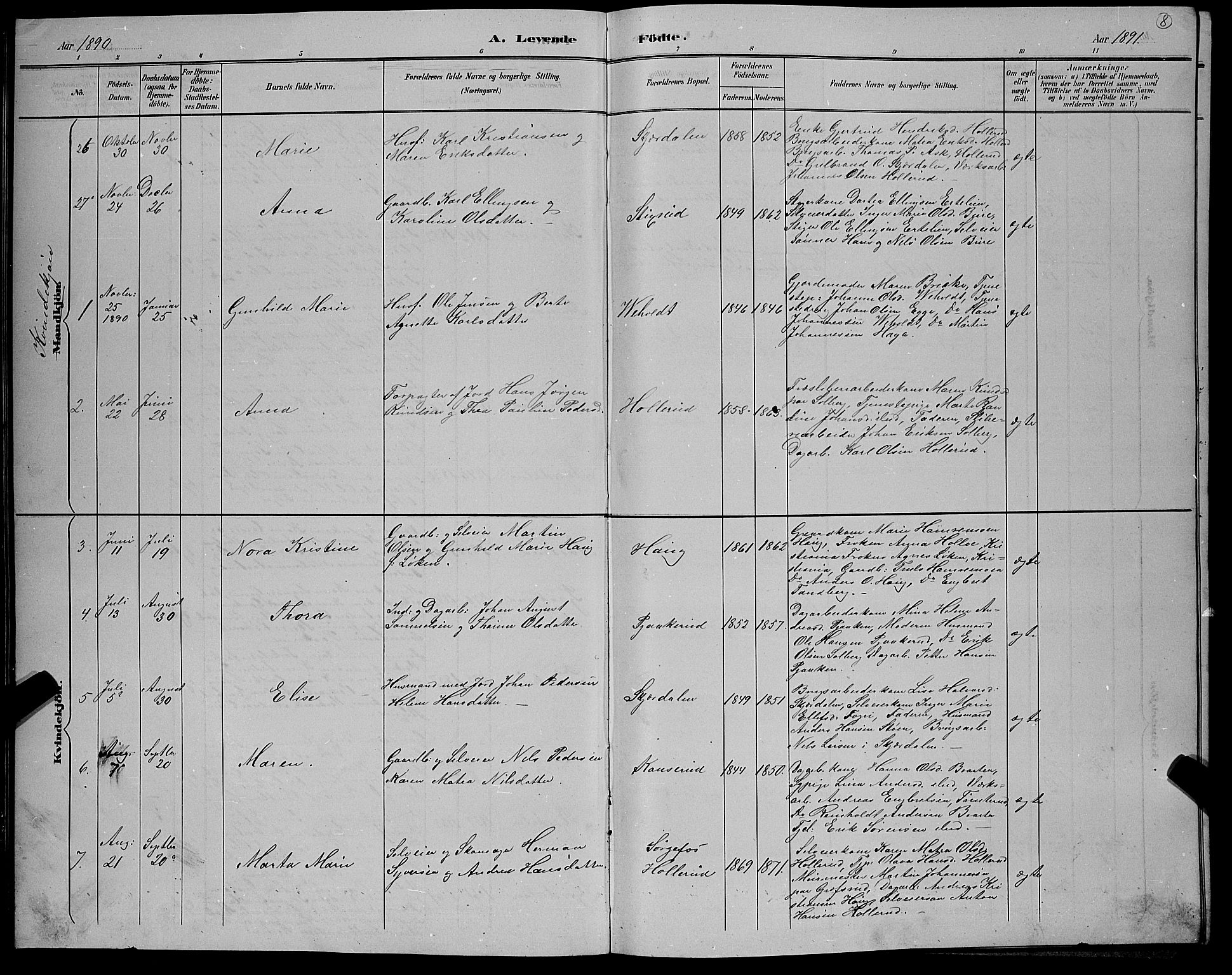 Hole kirkebøker, AV/SAKO-A-228/G/Gb/L0003: Parish register (copy) no. II 3, 1890-1901, p. 8