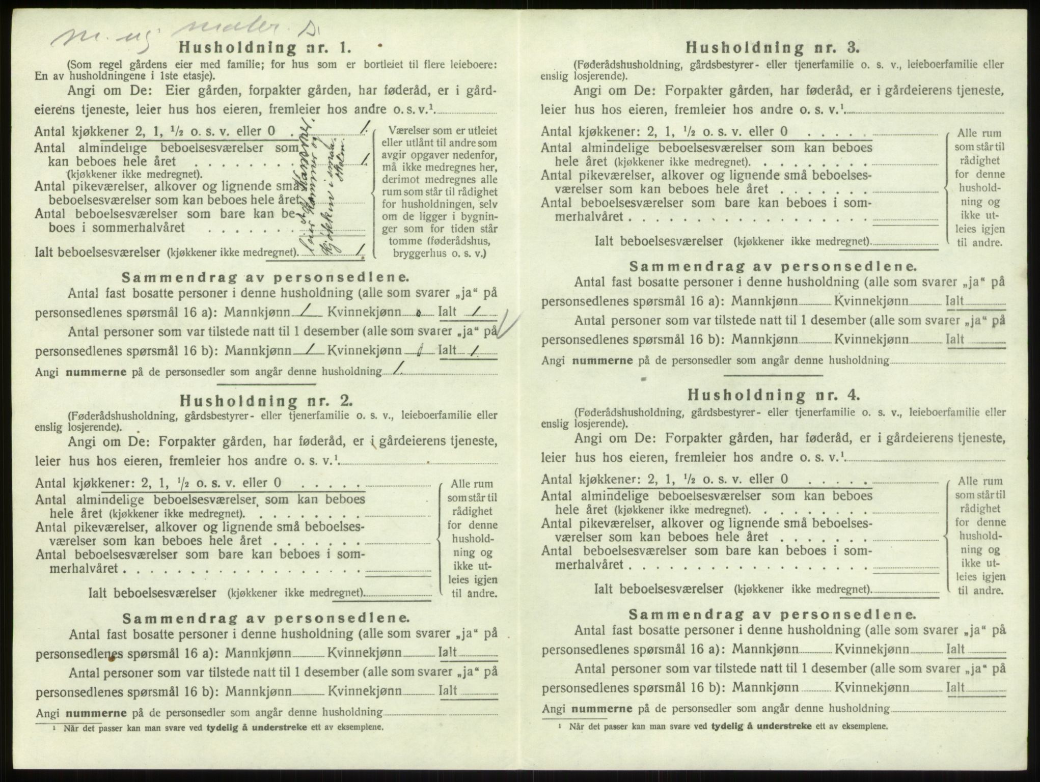 SAO, 1920 census for Berg, 1920, p. 1205