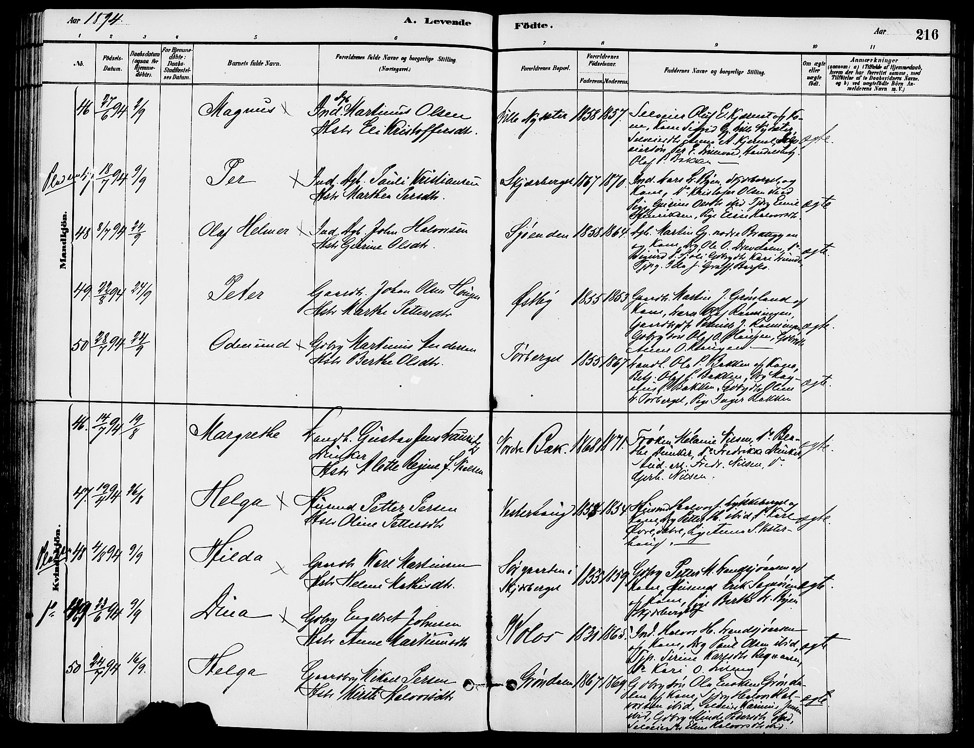 Trysil prestekontor, SAH/PREST-046/H/Ha/Haa/L0008: Parish register (official) no. 8, 1881-1897, p. 216